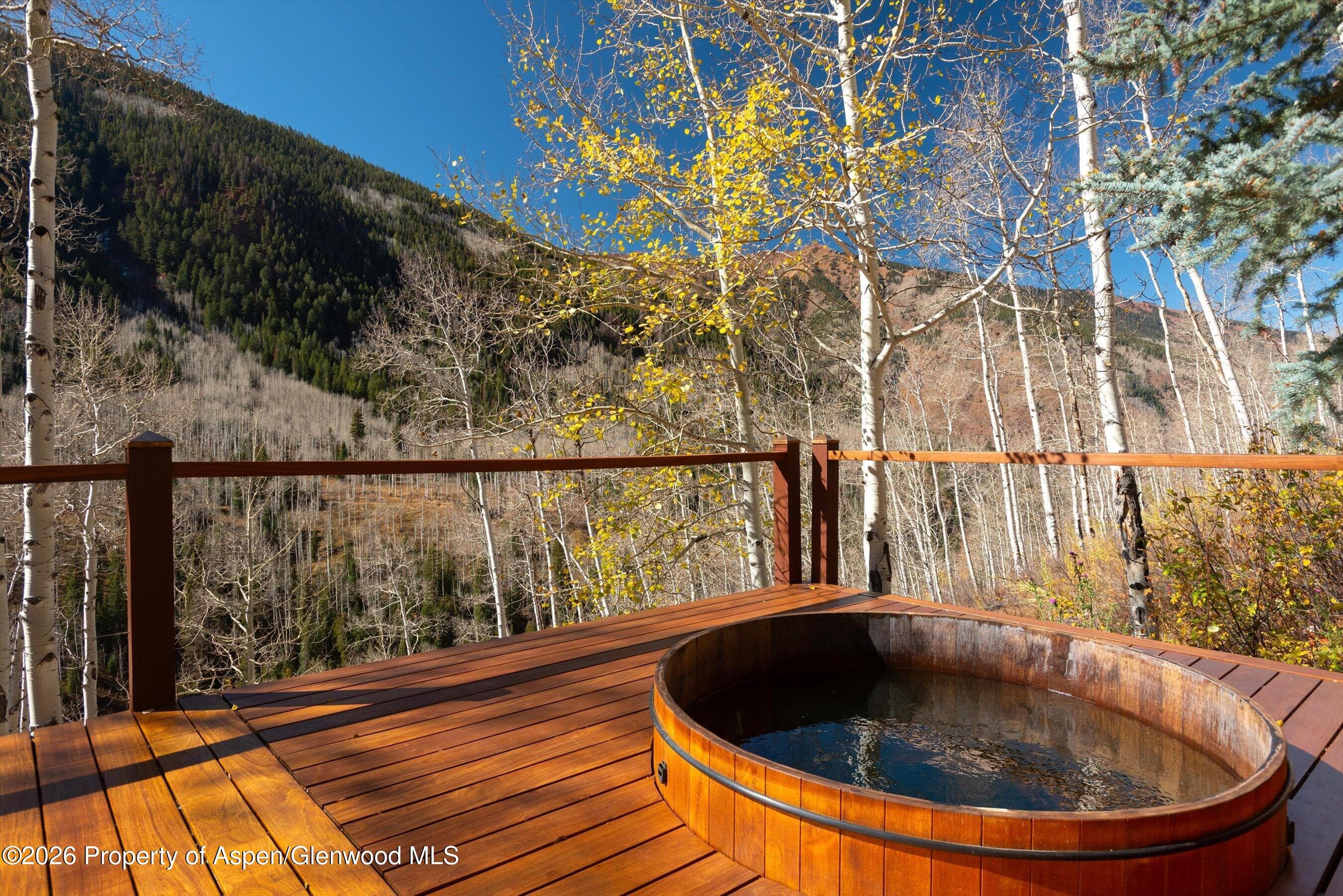 6770 Castle Creek Road, Aspen, CO 81611 - Photo 37