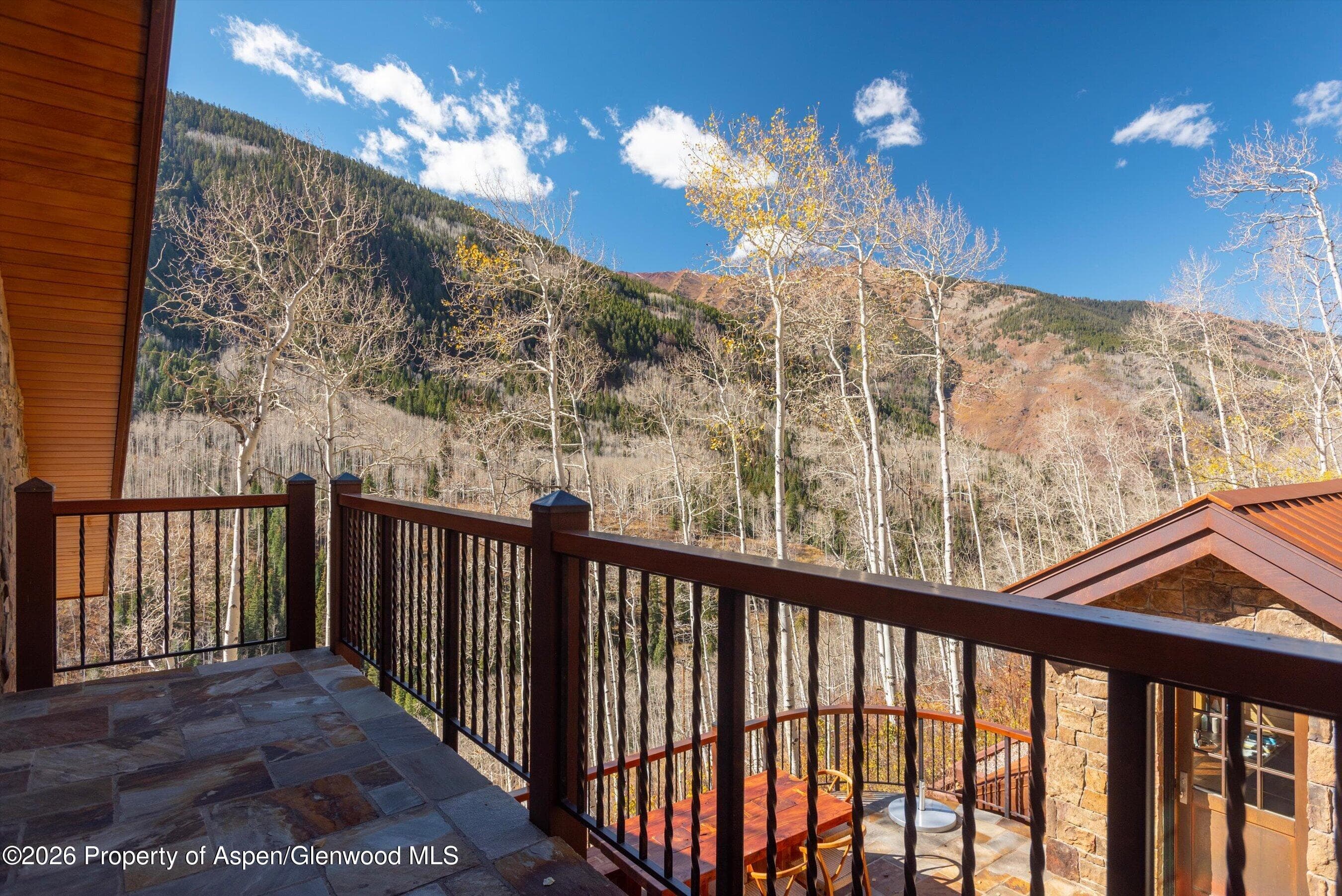 6770 Castle Creek Road, Aspen, CO 81611 - Photo 38