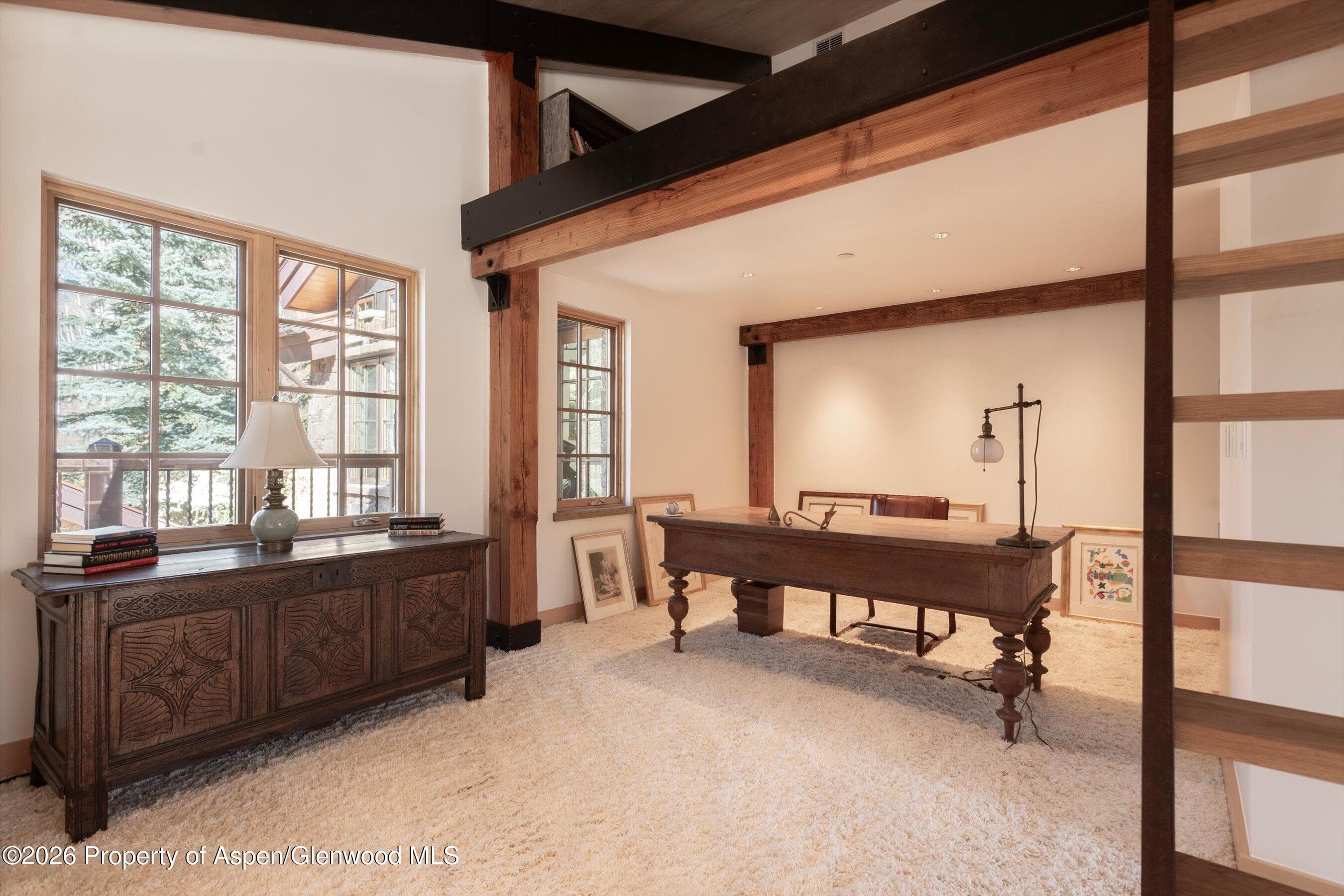 6770 Castle Creek Road, Aspen, CO 81611 - Photo 18