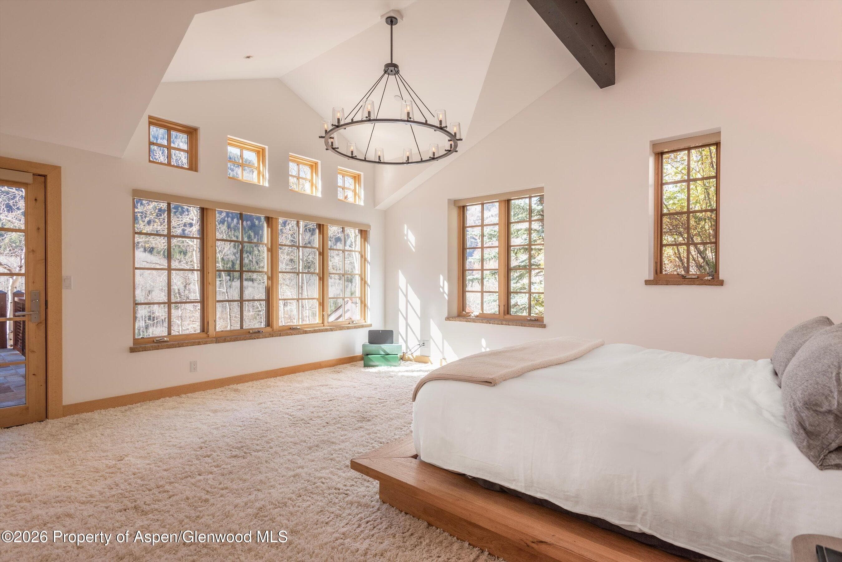 6770 Castle Creek Road, Aspen, CO 81611 - Photo 13