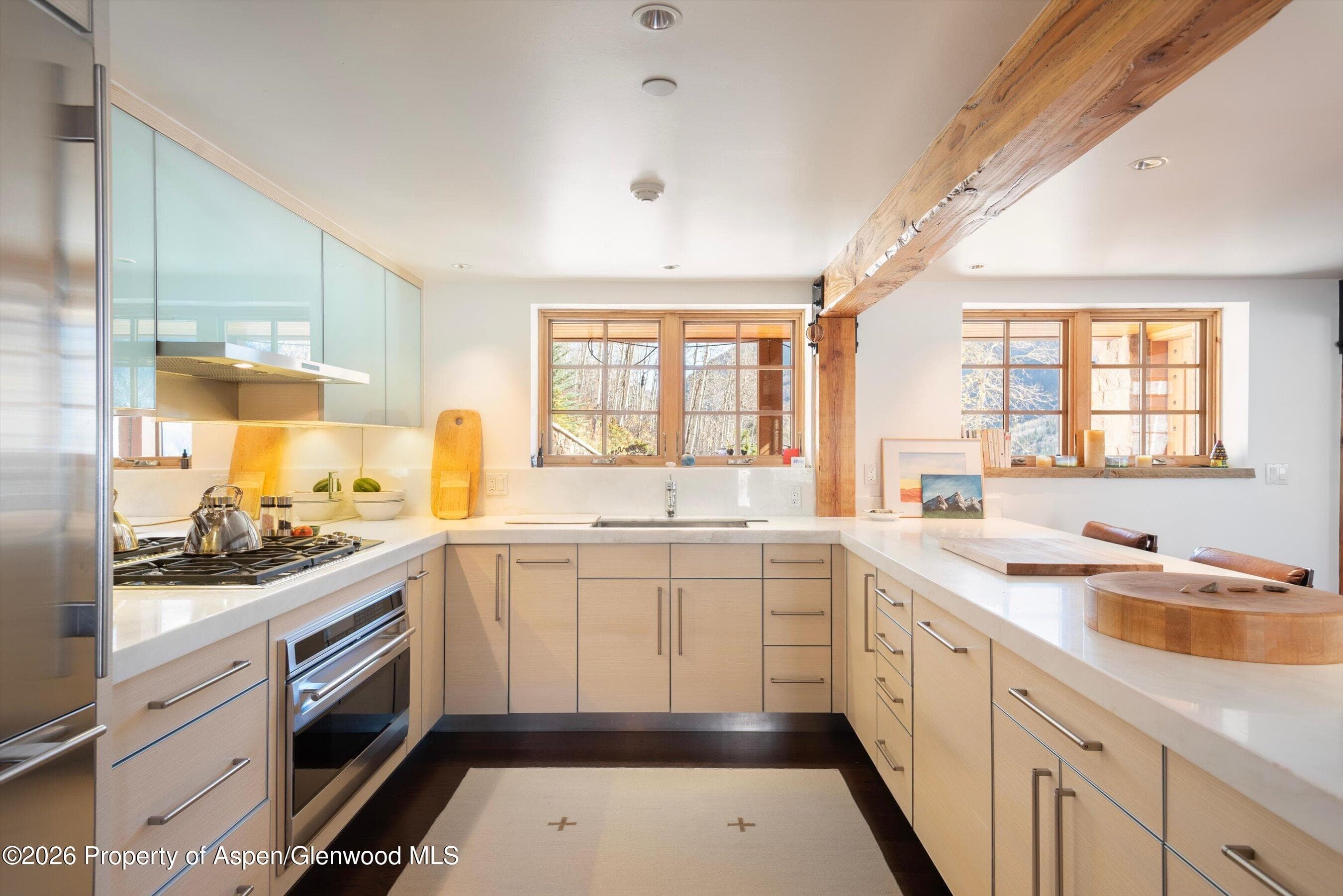 6770 Castle Creek Road, Aspen, CO 81611 - Photo 10