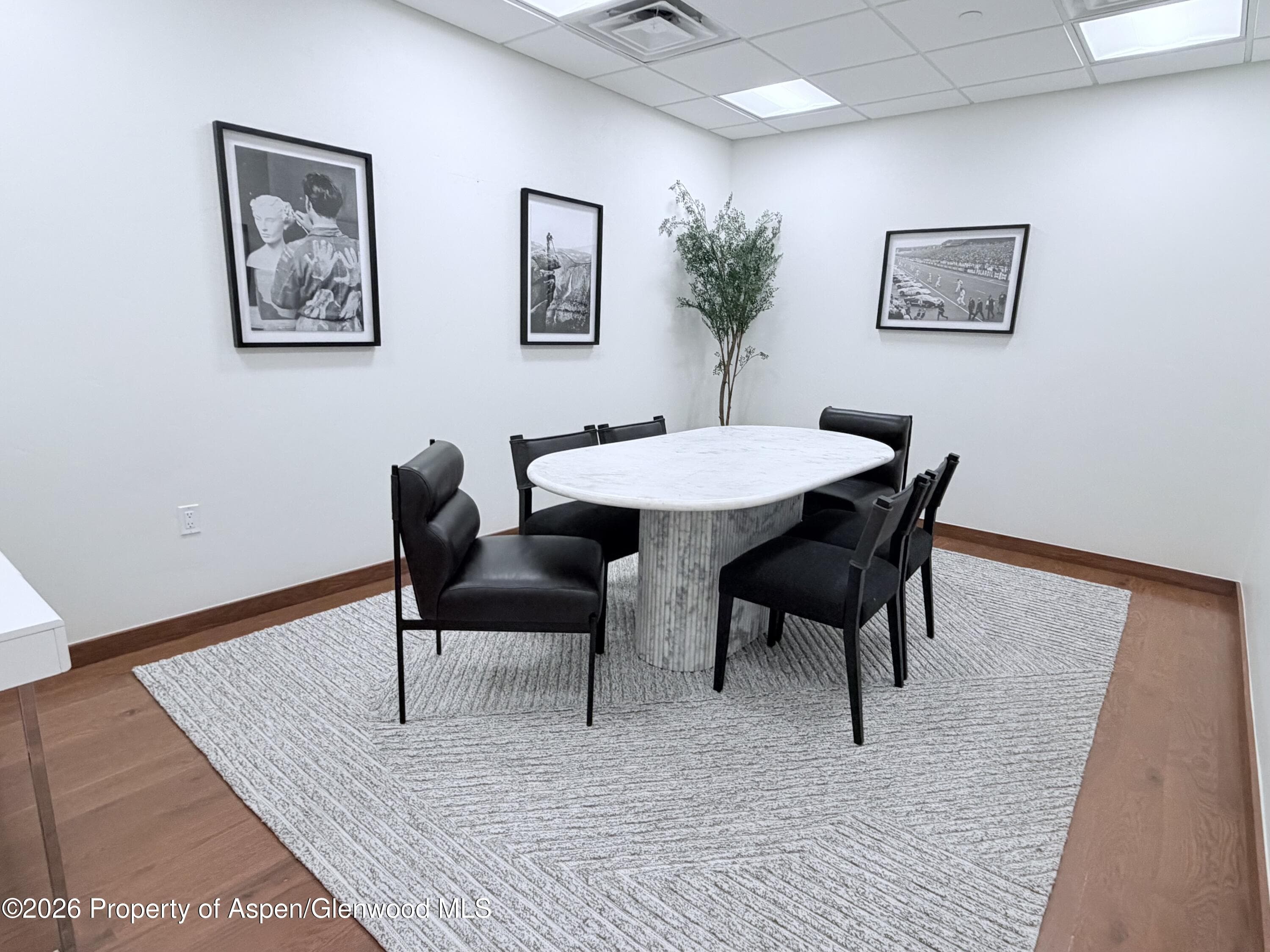 319 Main Street 303, Carbondale, CO 81623 - Photo 7