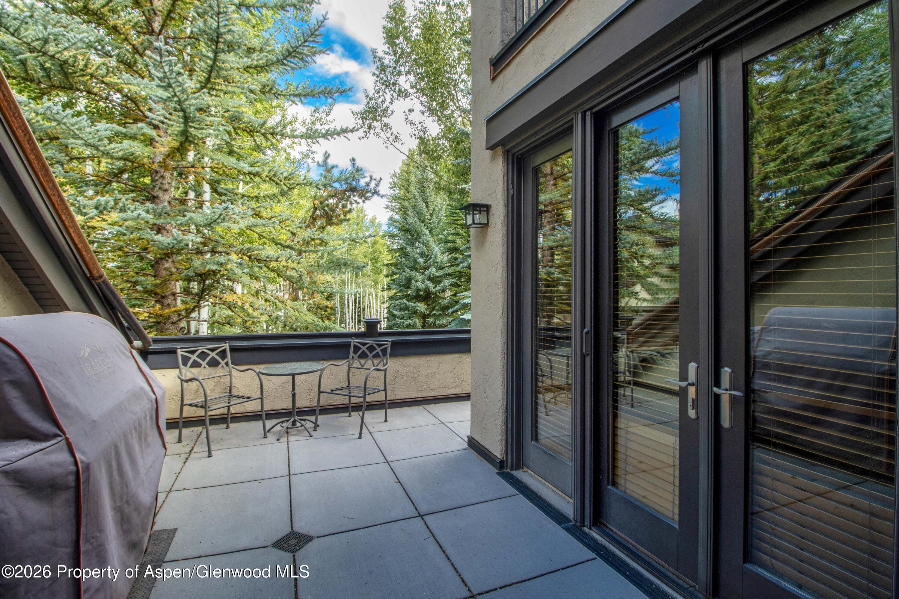 916 Burnt Mountain Drive, Snowmass Village, CO 81615 - Photo 13