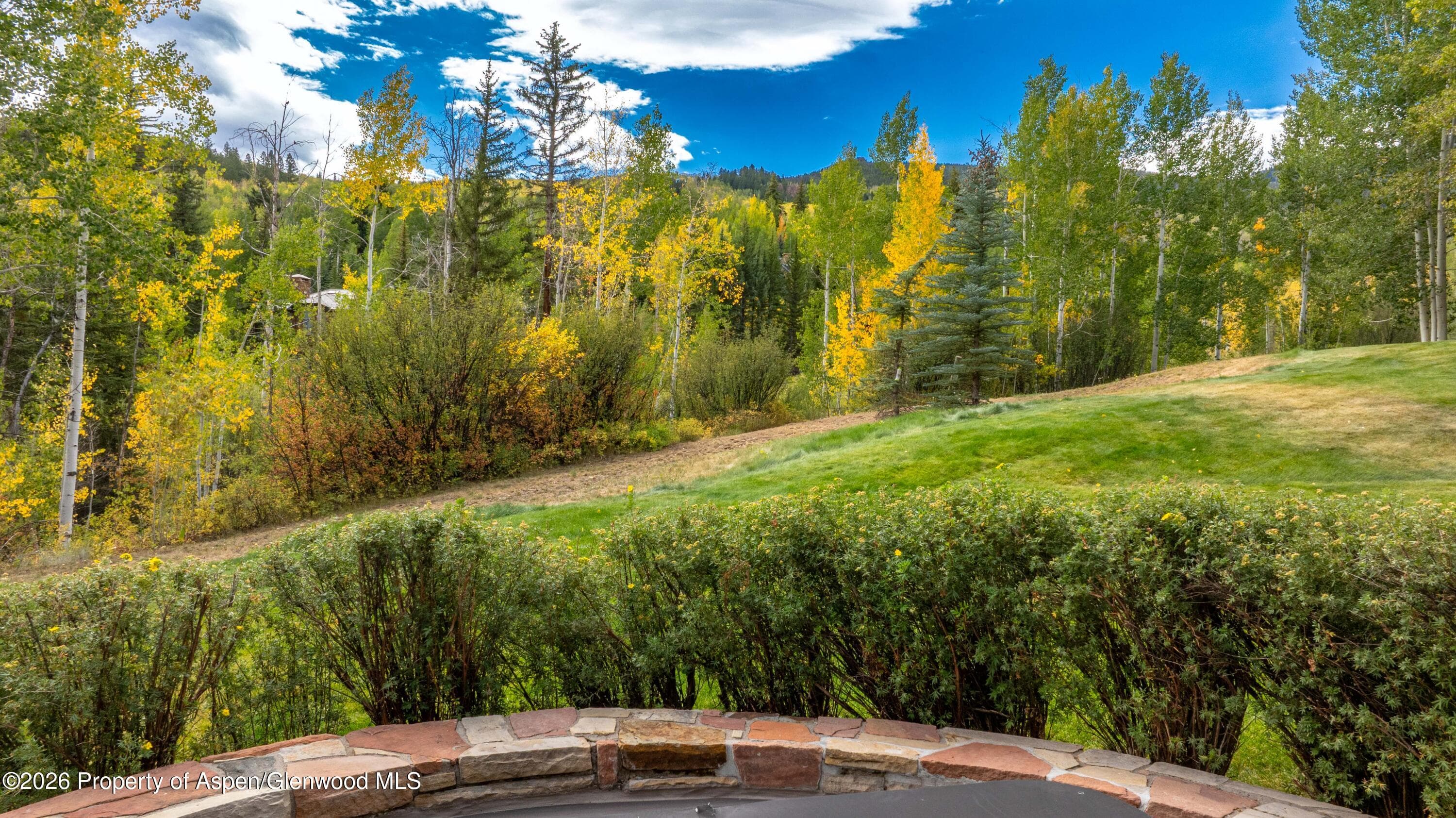 916 Burnt Mountain Drive, Snowmass Village, CO 81615 - Photo 14