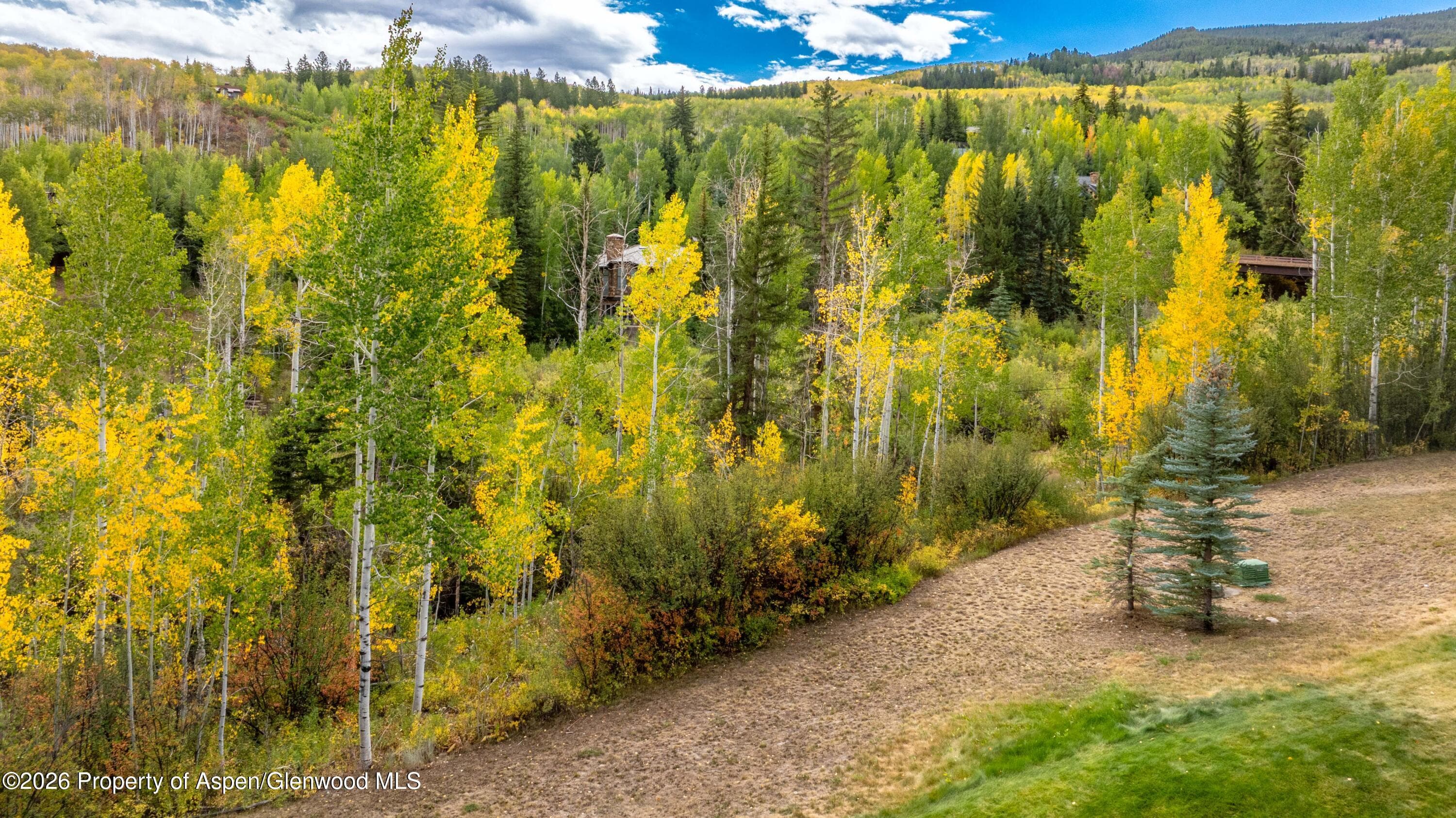 916 Burnt Mountain Drive, Snowmass Village, CO 81615 - Photo 15