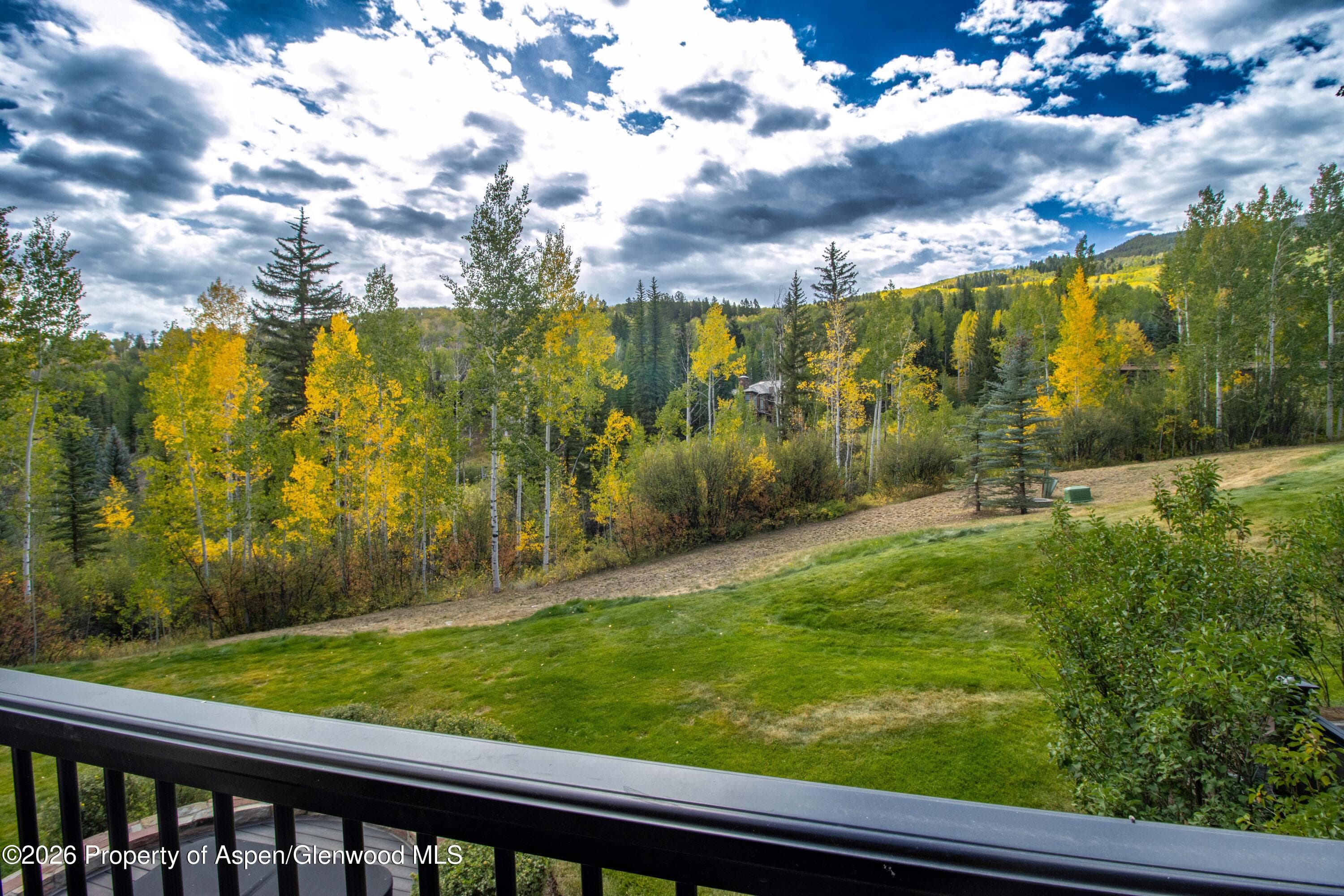 916 Burnt Mountain Drive, Snowmass Village, CO 81615 - Photo 17