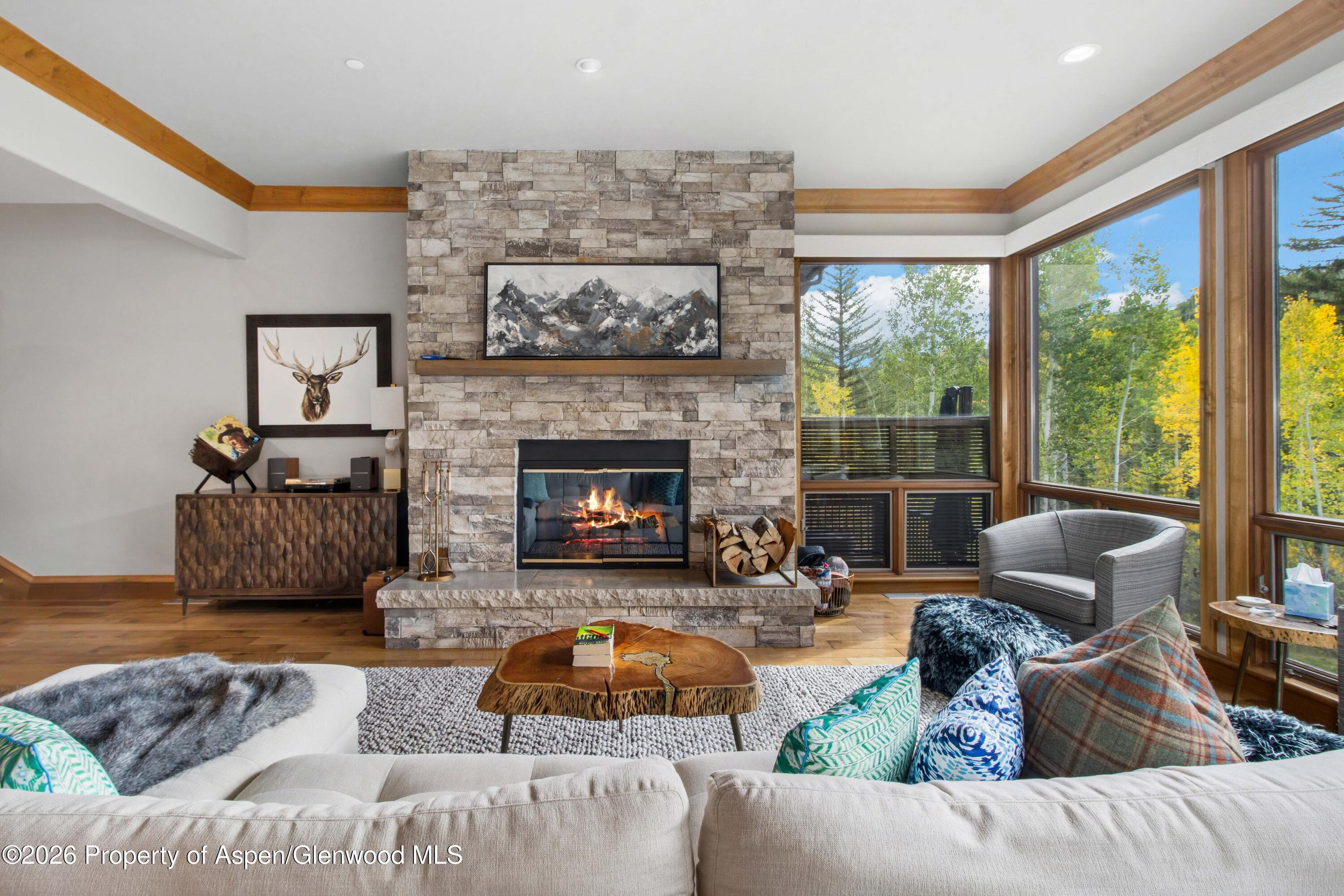 916 Burnt Mountain Drive, Snowmass Village, CO 81615 - Photo 19