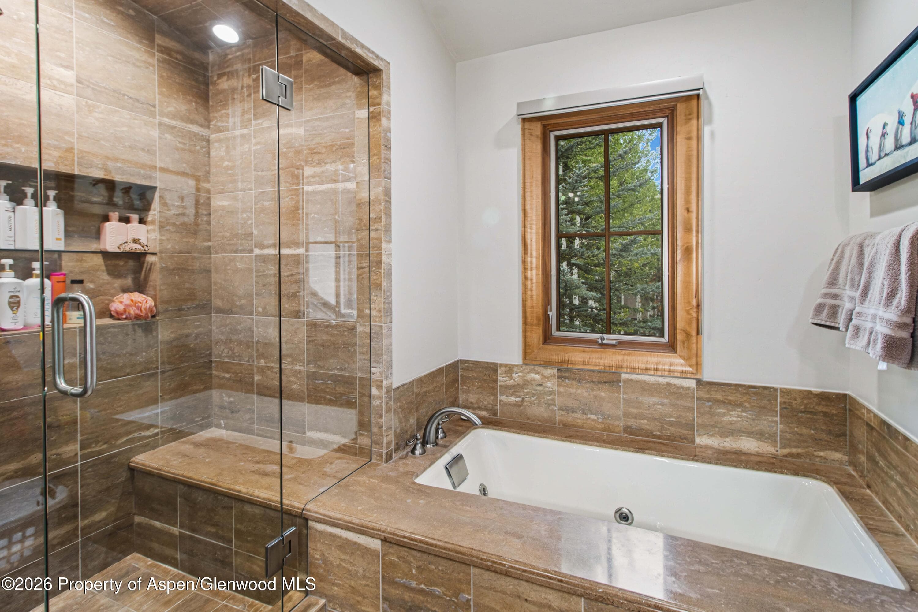 916 Burnt Mountain Drive, Snowmass Village, CO 81615 - Photo 24