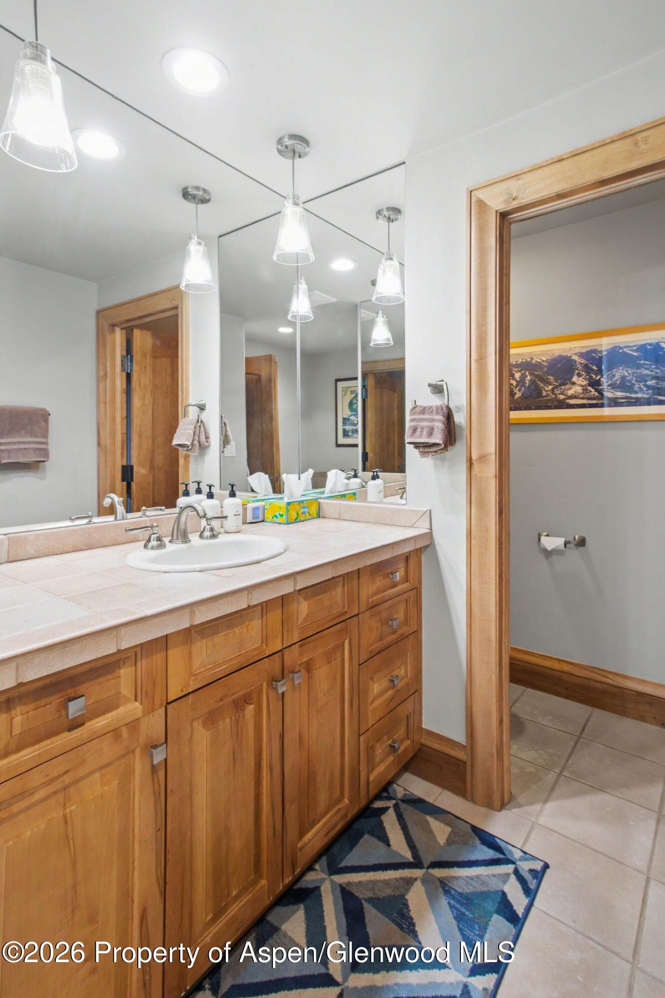916 Burnt Mountain Drive, Snowmass Village, CO 81615 - Photo 30