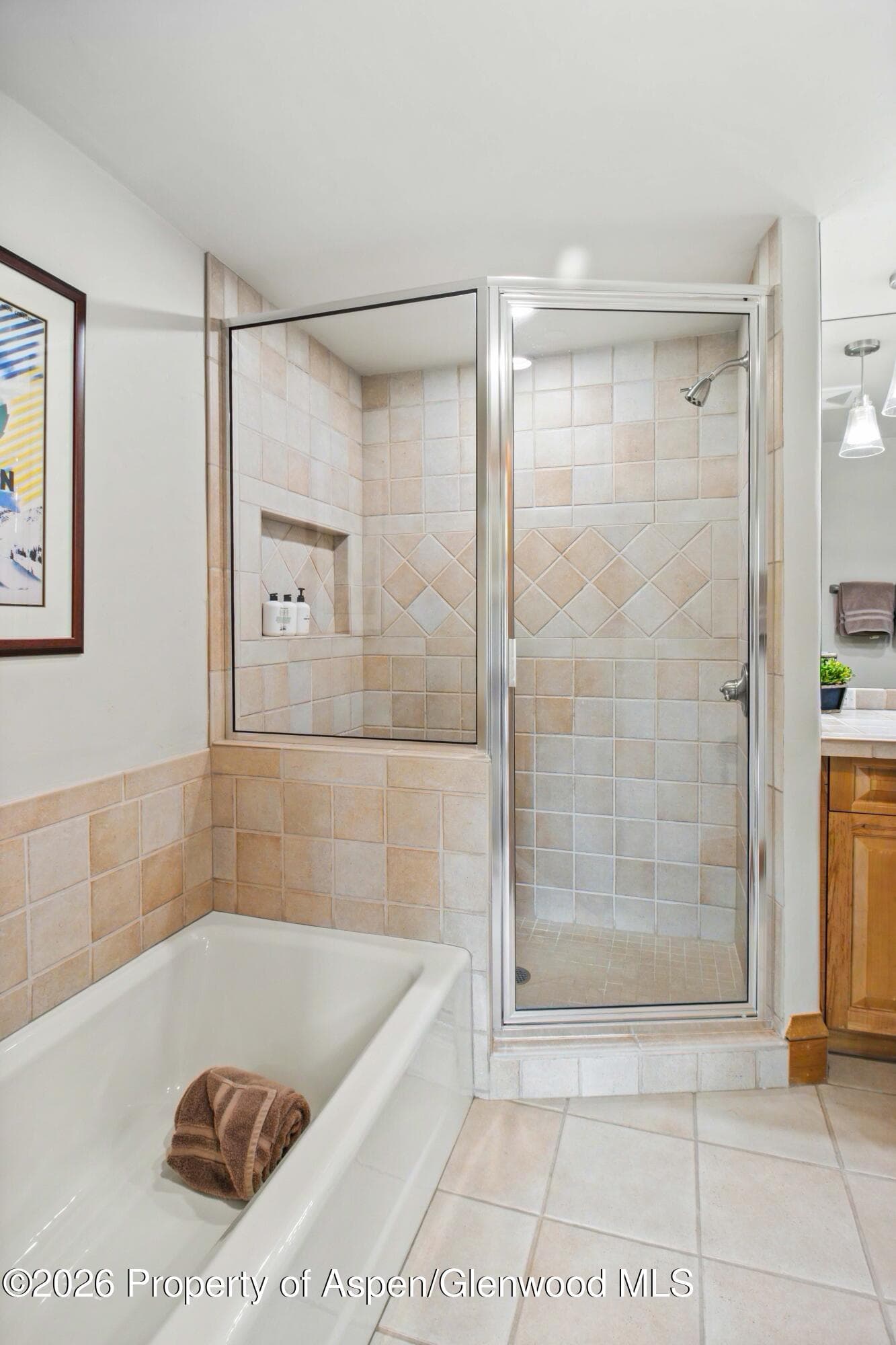 916 Burnt Mountain Drive, Snowmass Village, CO 81615 - Photo 31
