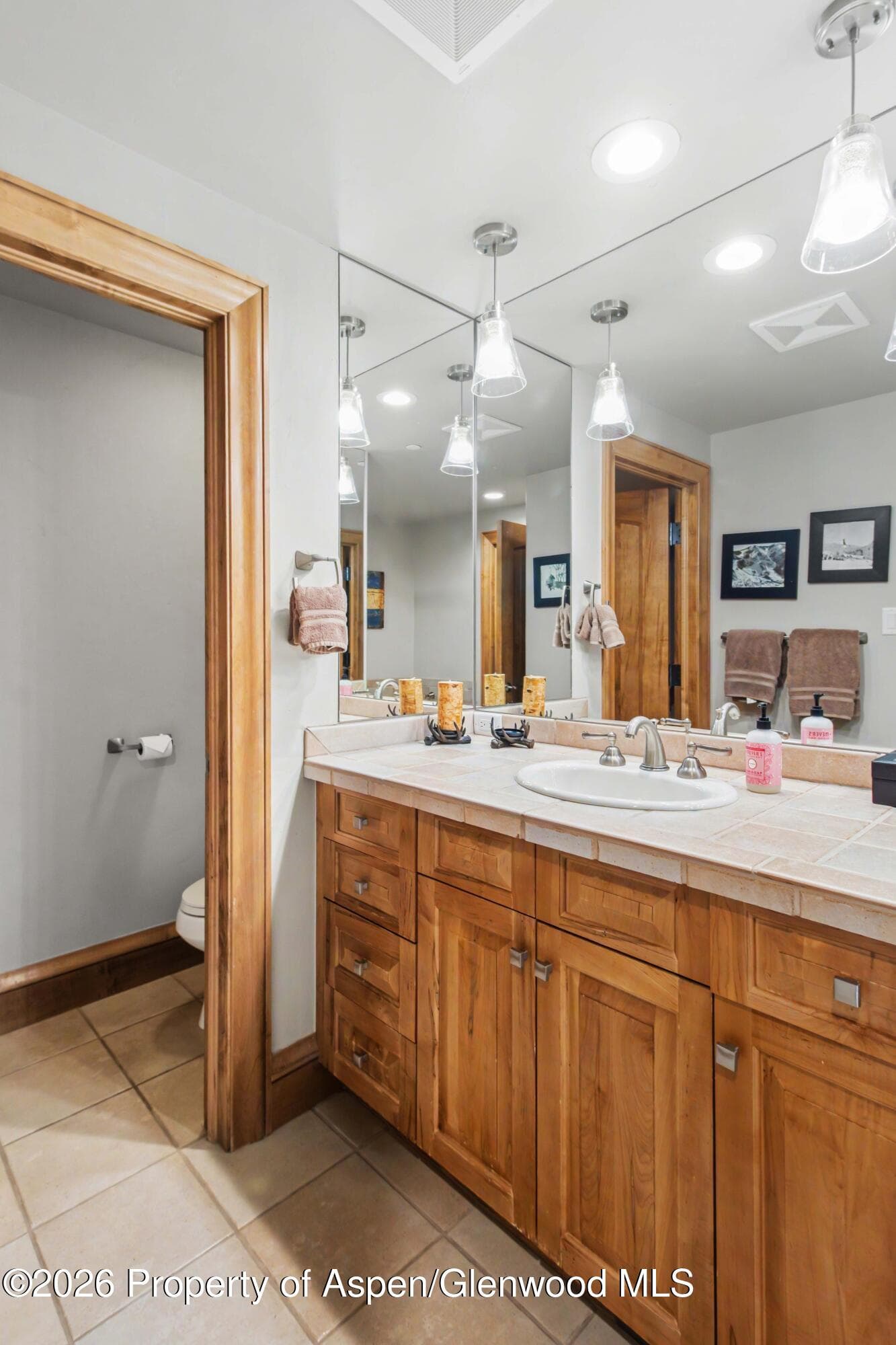 916 Burnt Mountain Drive, Snowmass Village, CO 81615 - Photo 33