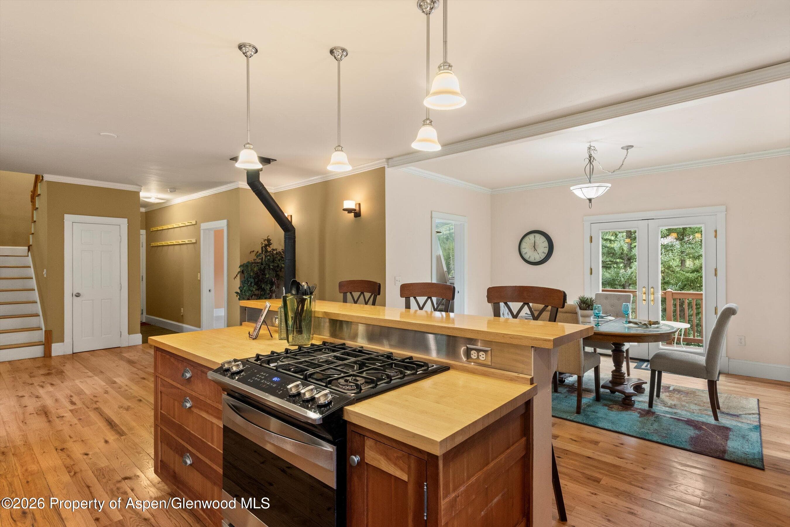 28 Crystal Park Drive, Carbondale, CO 81623 - Photo 5