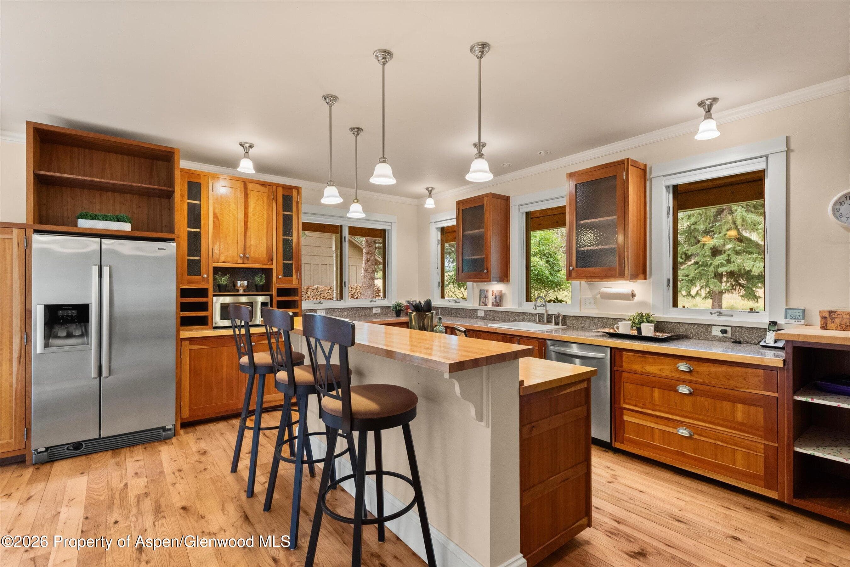 28 Crystal Park Drive, Carbondale, CO 81623 - Photo 4