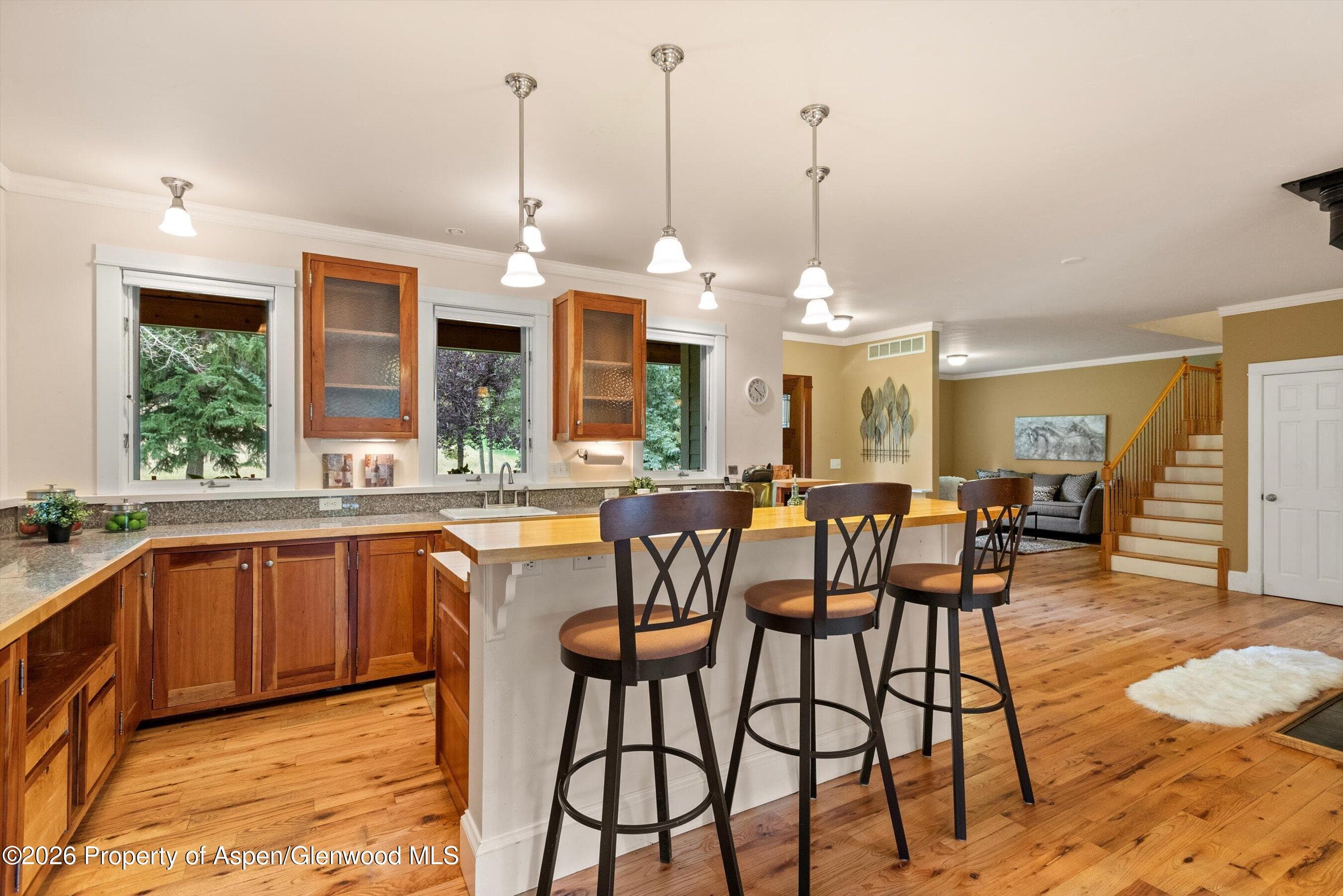 28 Crystal Park Drive, Carbondale, CO 81623 - Photo 9