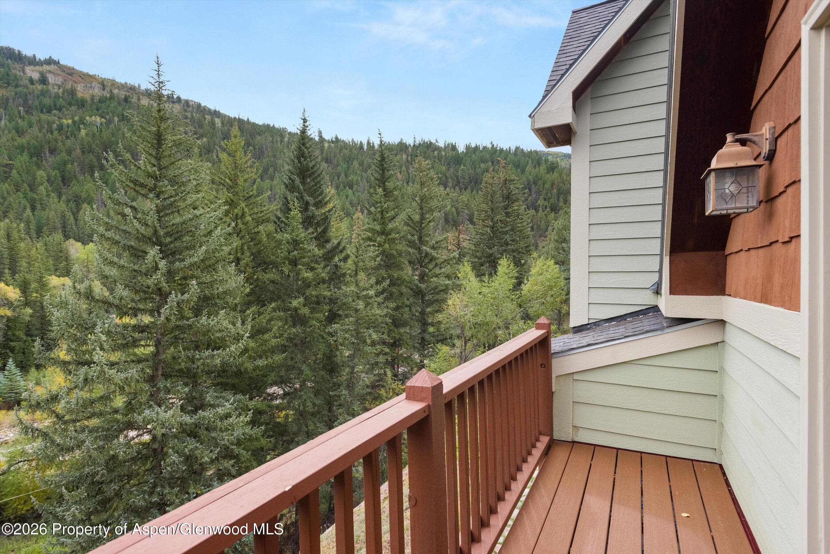28 Crystal Park Drive, Carbondale, CO 81623 - Photo 24