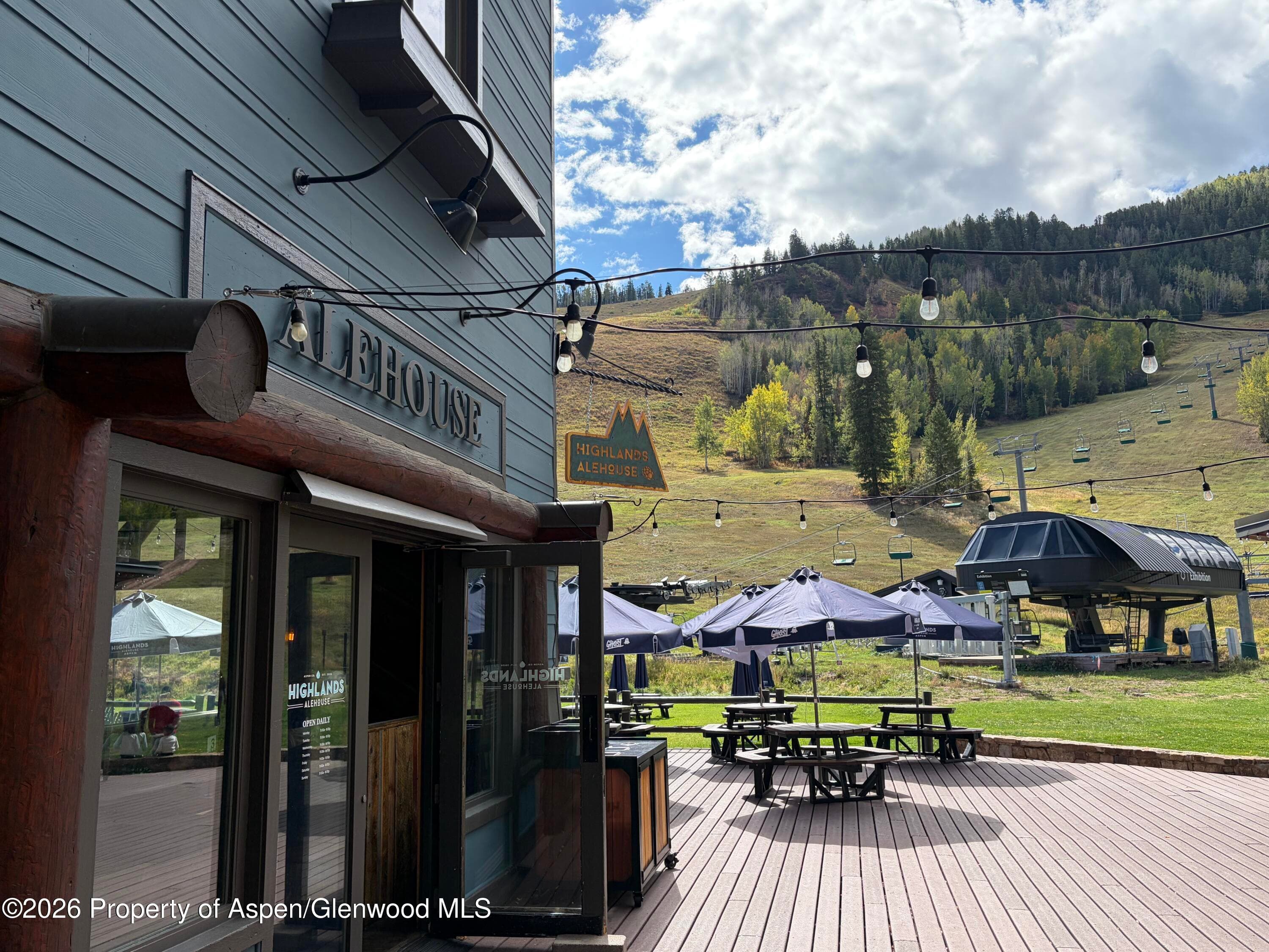 39 Boomerang Road 8310-9, Aspen, CO 81611 - Photo 14