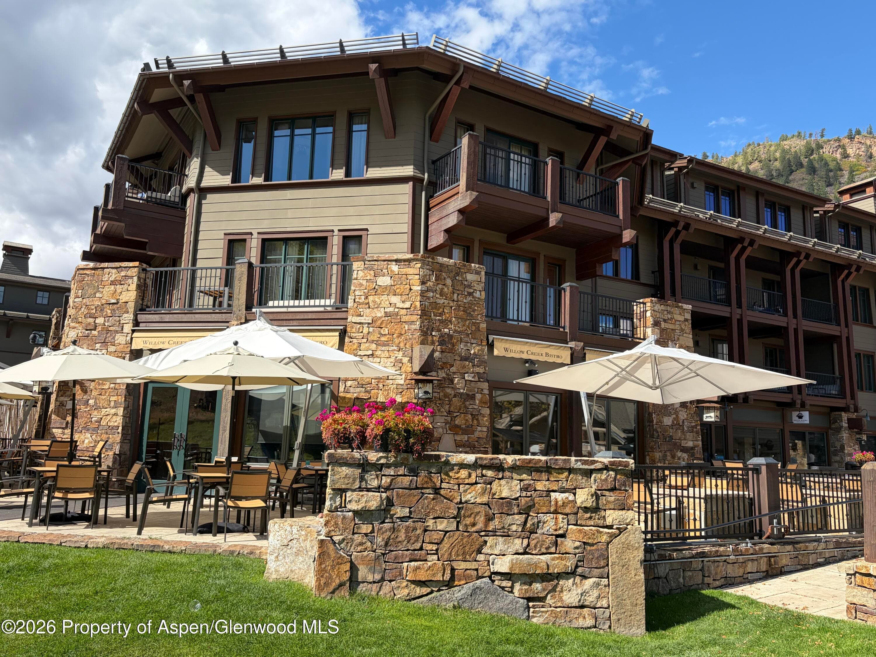 39 Boomerang Road 8310-9, Aspen, CO 81611 - Photo 16