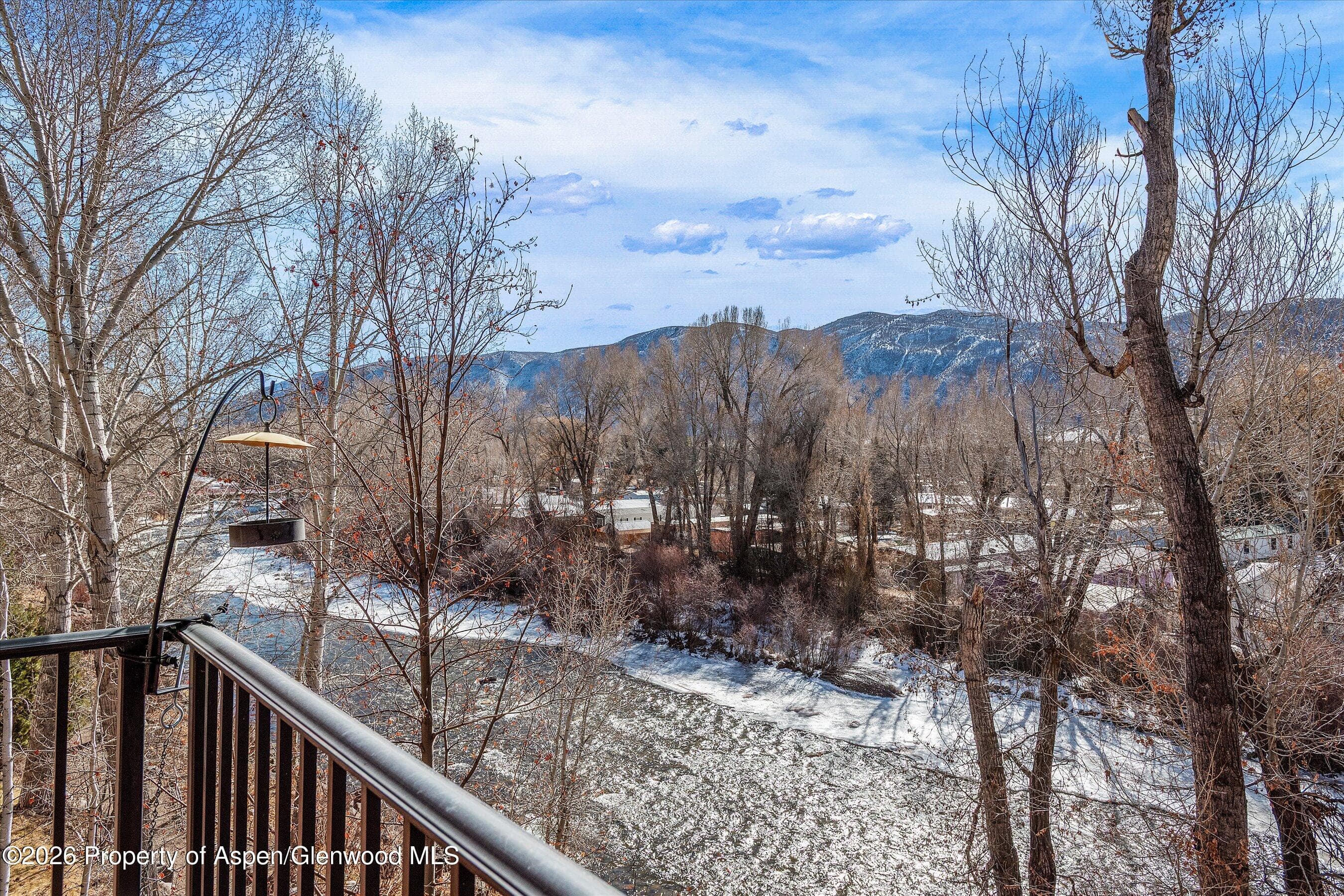 455 Gold Rivers Court 532, Basalt, CO 81621 - Photo 3