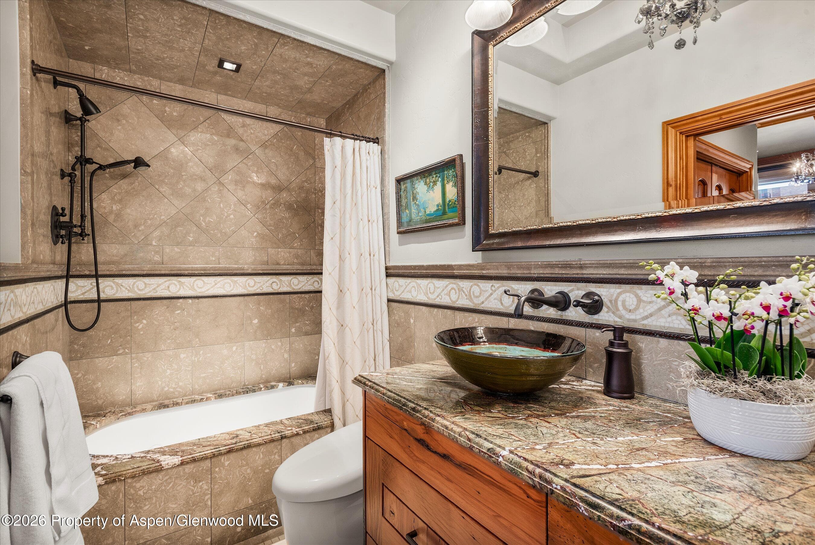 455 Gold Rivers Court 532, Basalt, CO 81621 - Photo 10