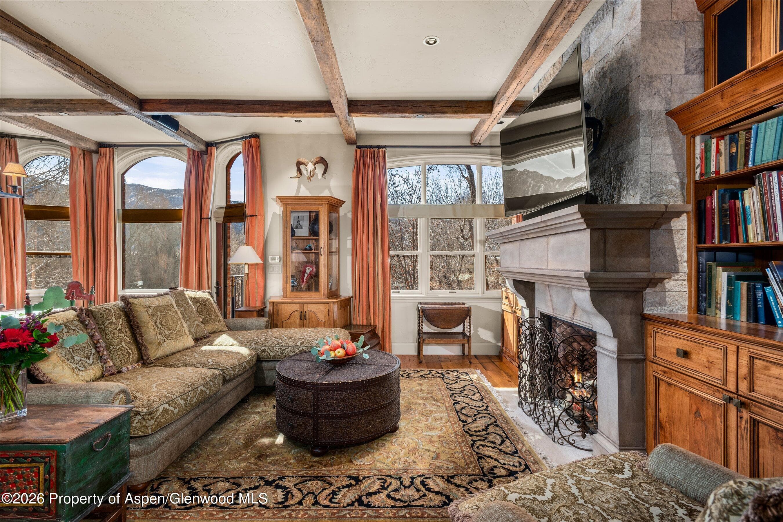 455 Gold Rivers Court 531, Basalt, CO 81621 - Photo 8