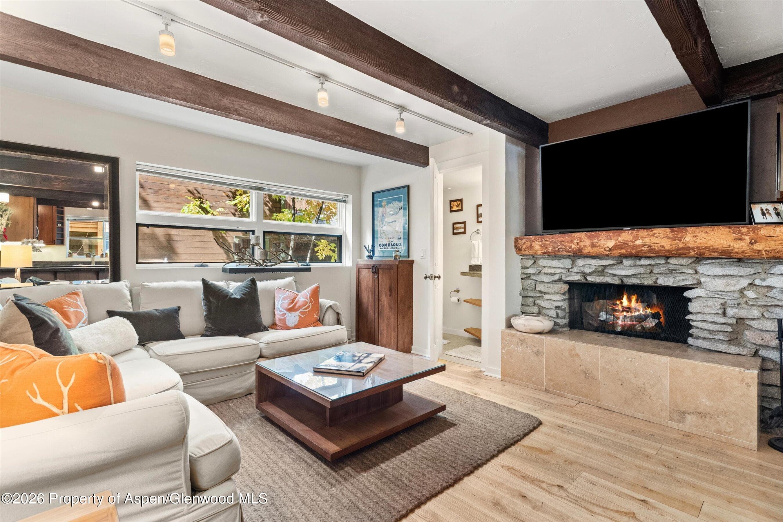 914 Waters Avenue 19, Aspen, CO 81611 - Photo 3
