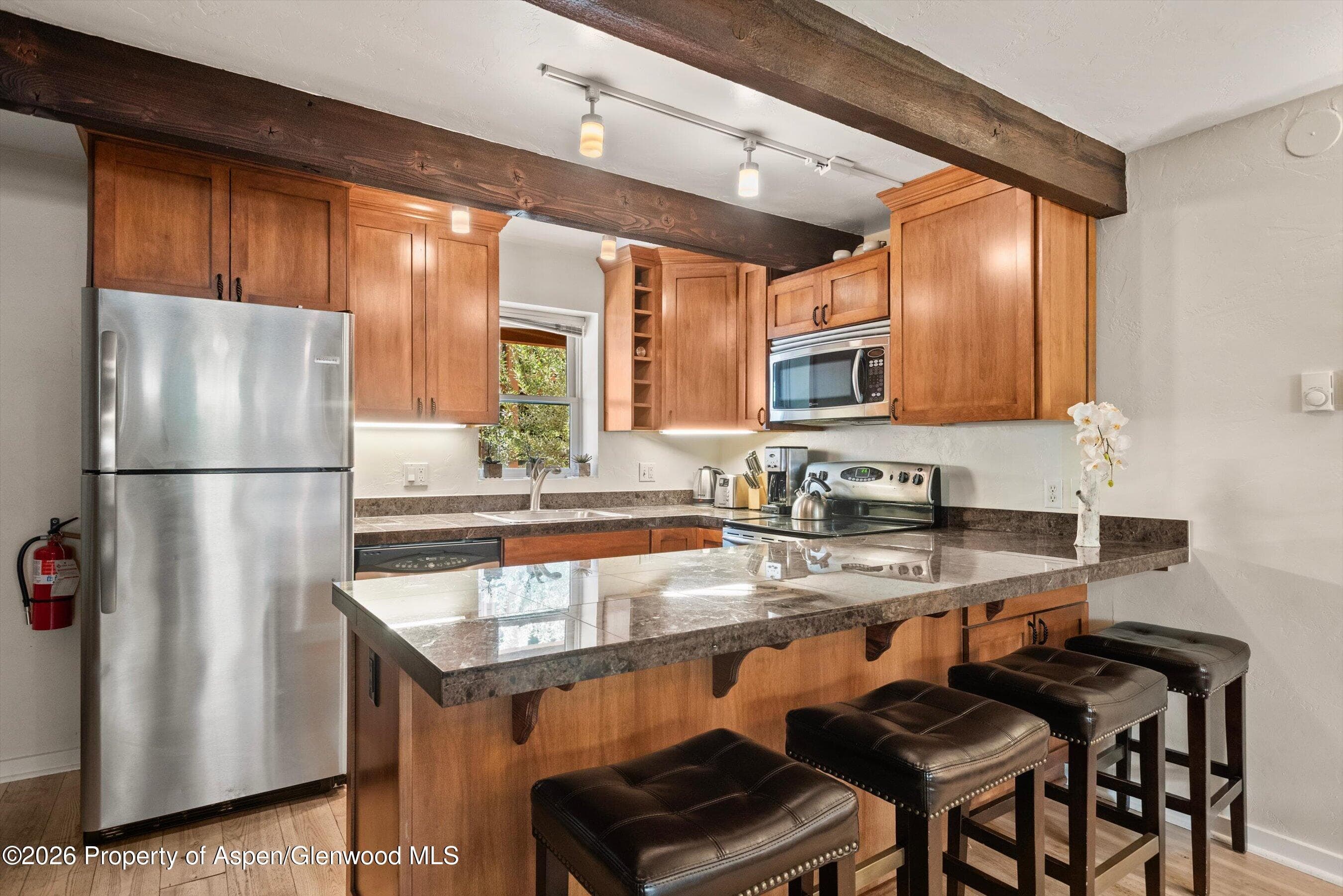 914 Waters Avenue 19, Aspen, CO 81611 - Photo 6