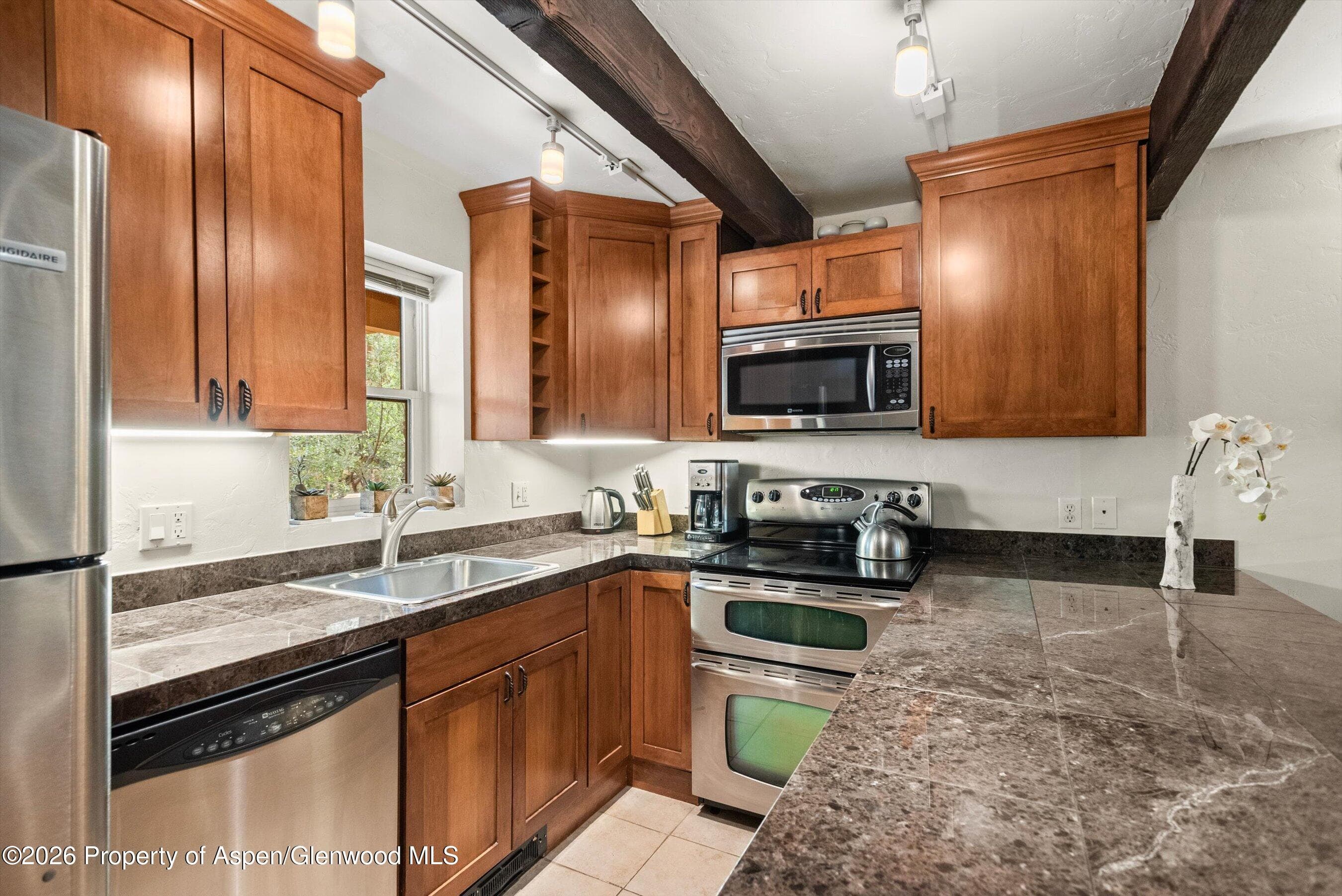 914 Waters Avenue 19, Aspen, CO 81611 - Photo 7