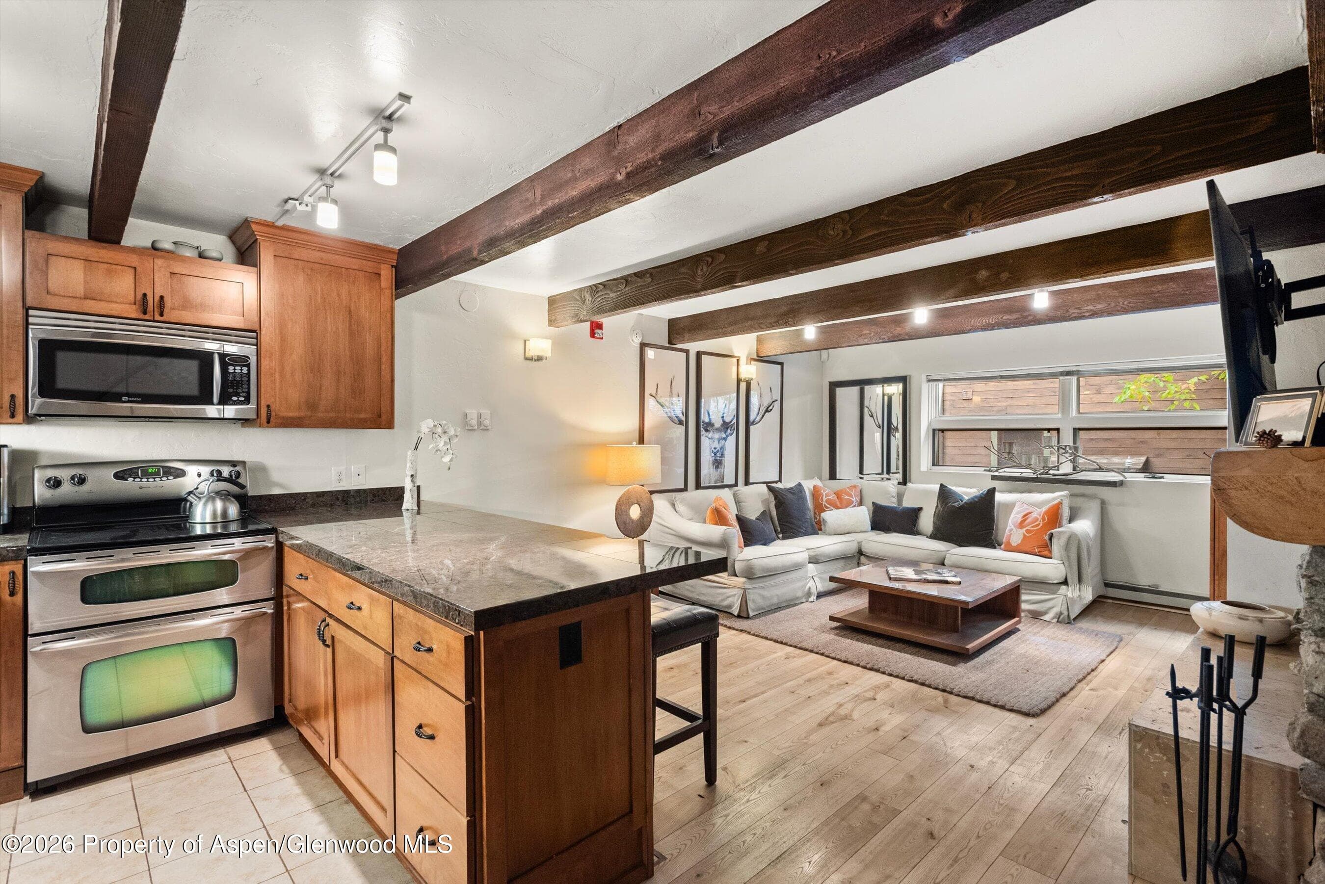 914 Waters Avenue 19, Aspen, CO 81611 - Photo 8