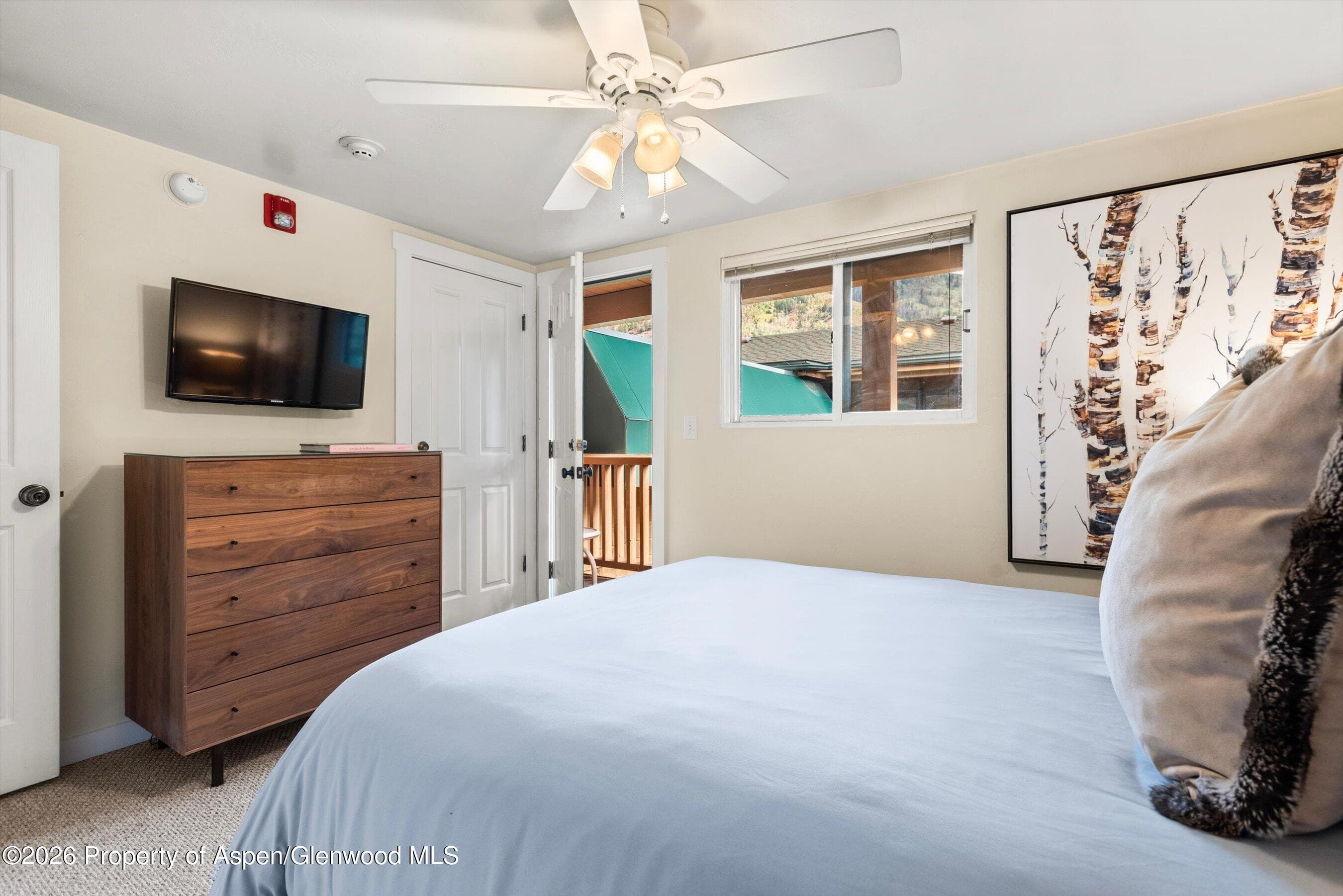 914 Waters Avenue 19, Aspen, CO 81611 - Photo 10