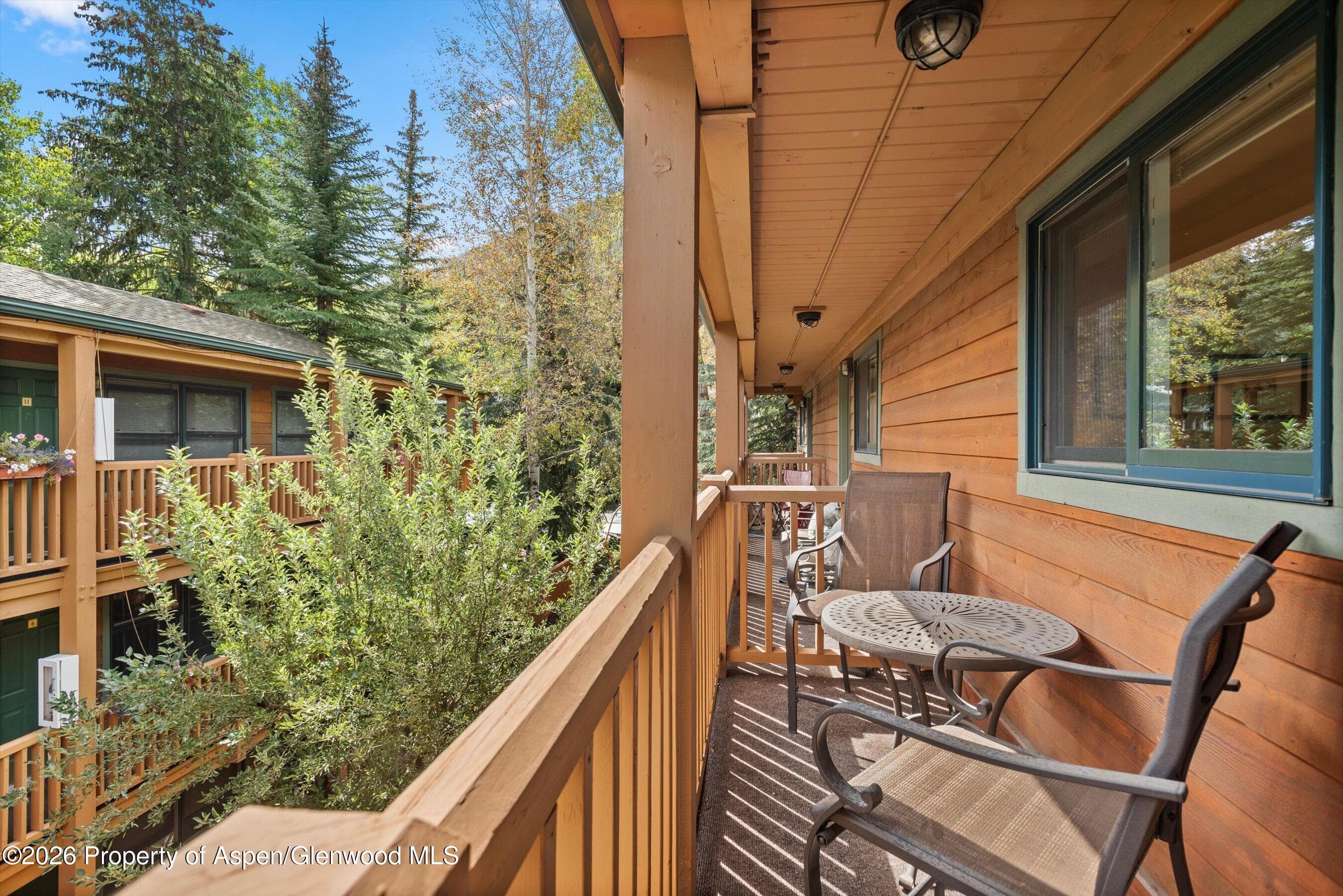 914 Waters Avenue 19, Aspen, CO 81611 - Photo 14