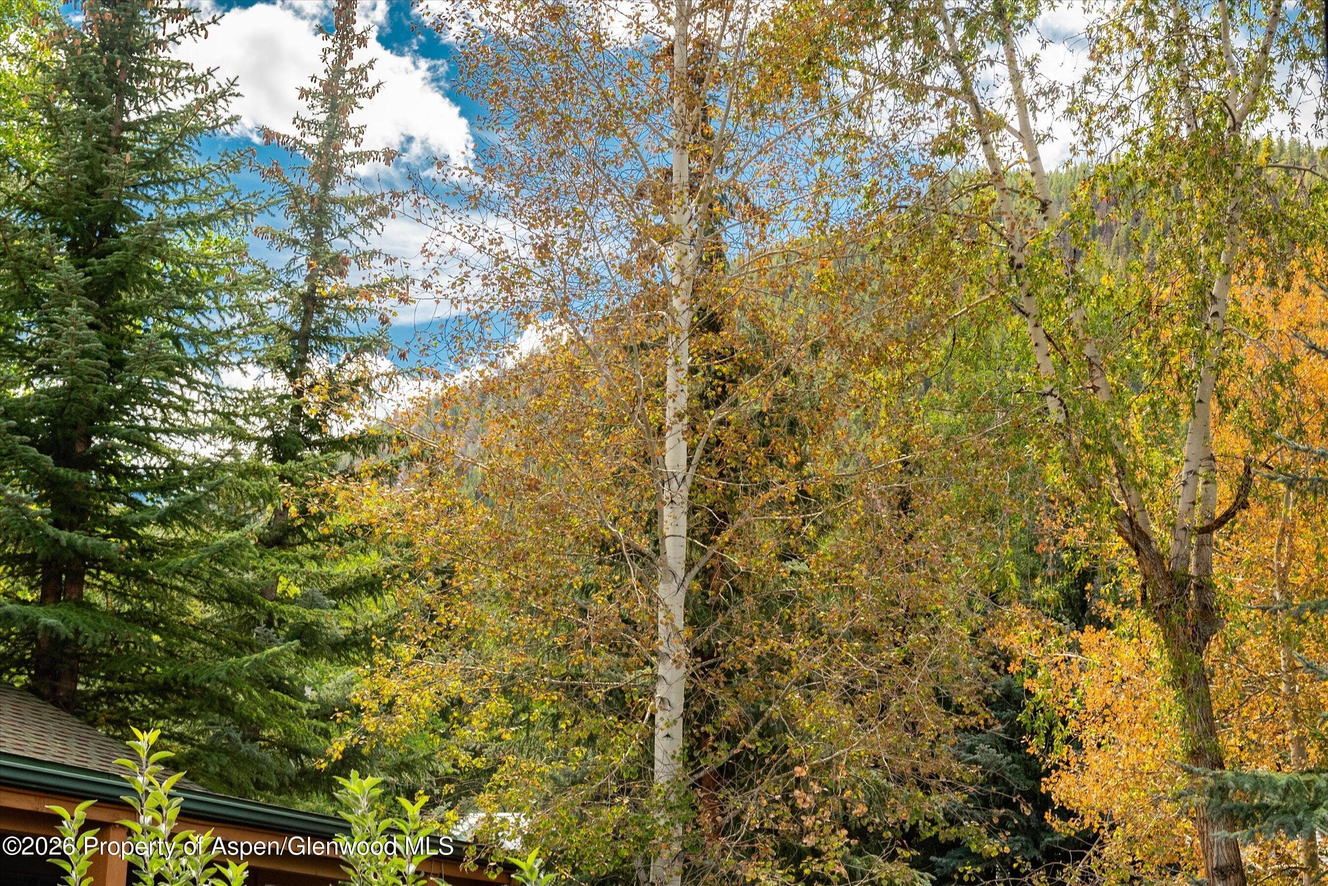 914 Waters Avenue 19, Aspen, CO 81611 - Photo 20