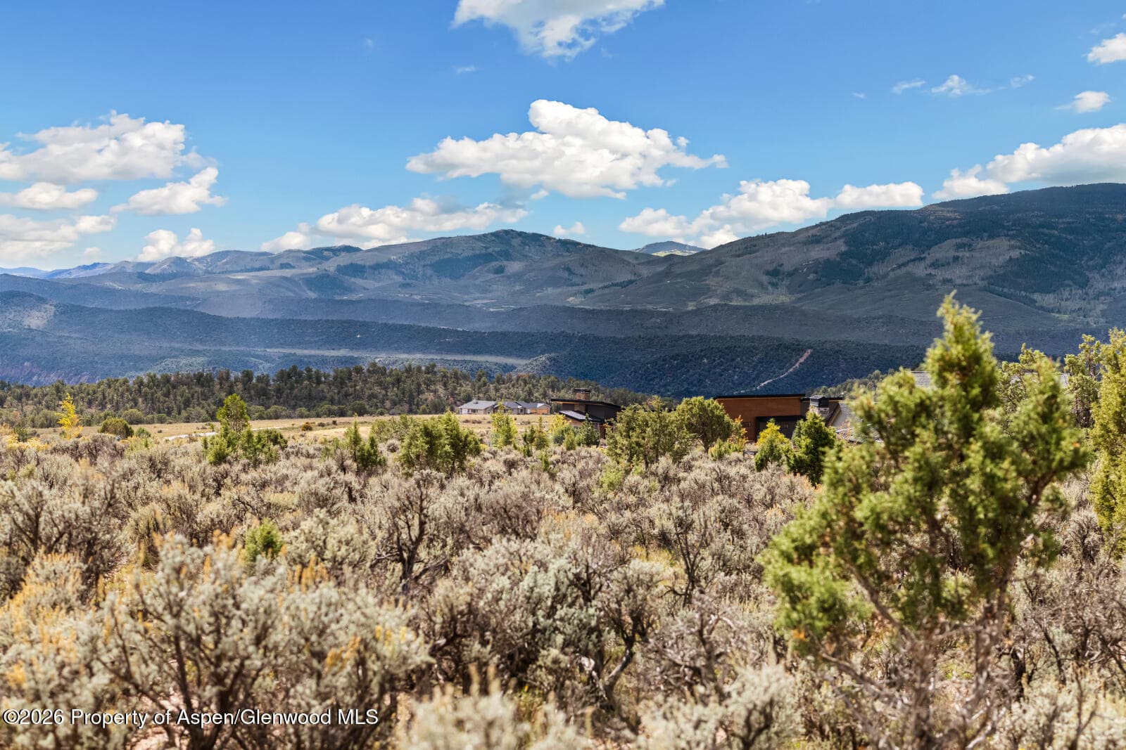 117 Kingbird Drive, Glenwood Springs, CO 81601 - Photo 5