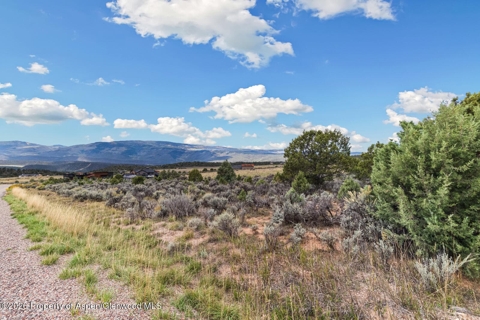117 Kingbird Drive, Glenwood Springs, CO 81601 - Photo 8