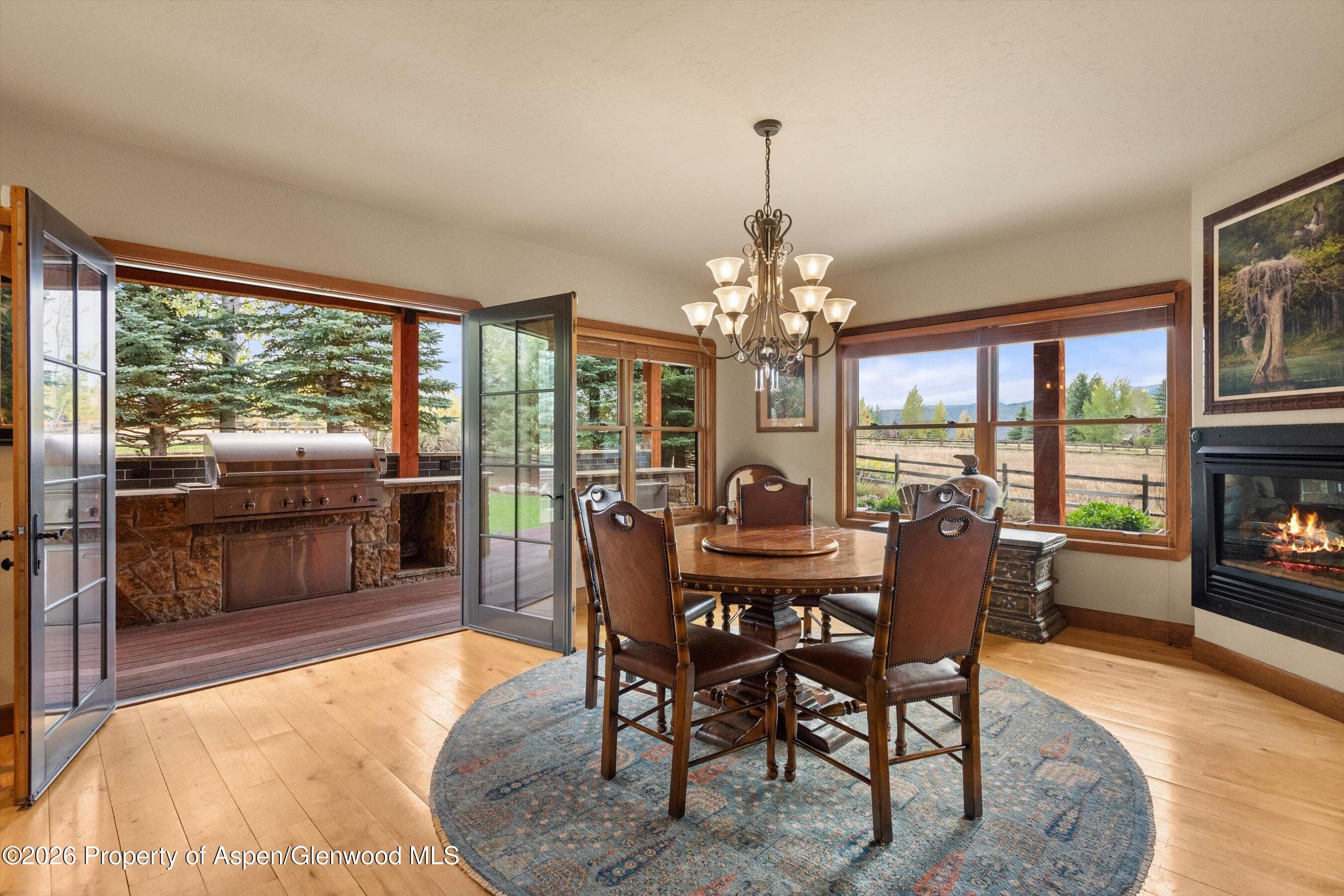 411 Fox Run Drive, Carbondale, CO 81623 - Photo 12
