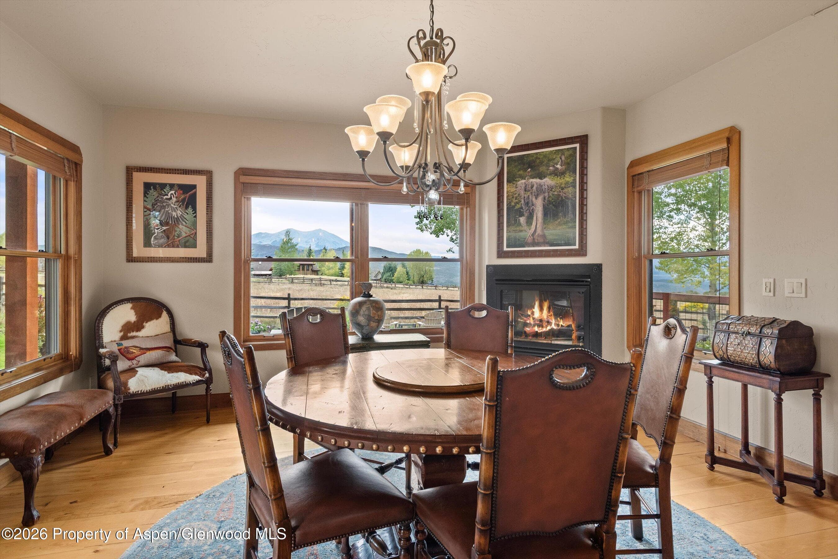 411 Fox Run Drive, Carbondale, CO 81623 - Photo 15