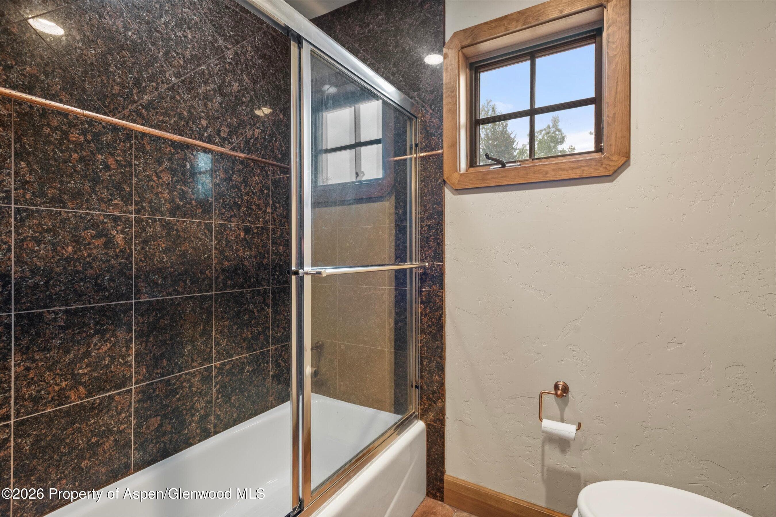 411 Fox Run Drive, Carbondale, CO 81623 - Photo 55