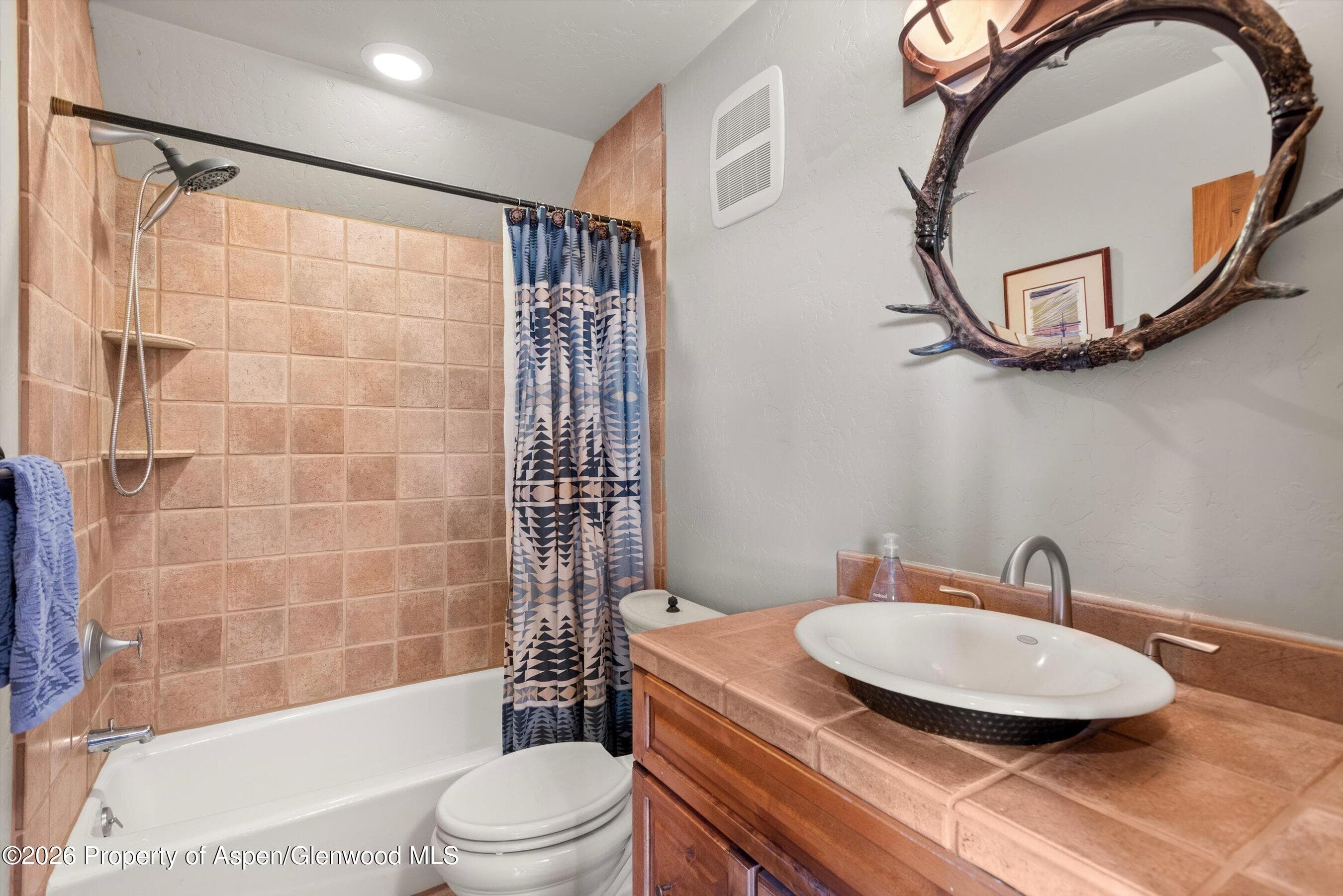 411 Fox Run Drive, Carbondale, CO 81623 - Photo 63
