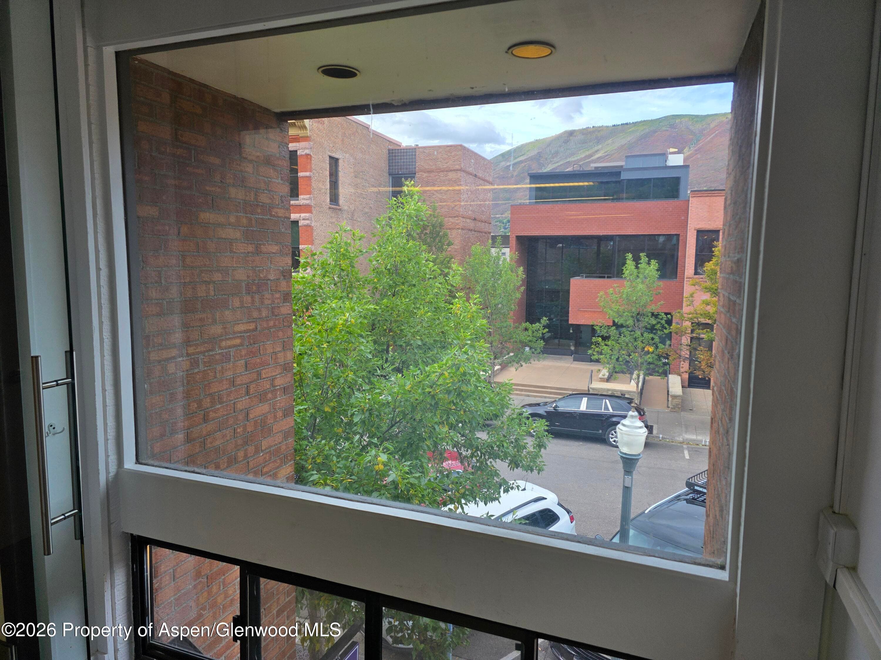 501 E Hyman Avenue 205, Aspen, CO 81611