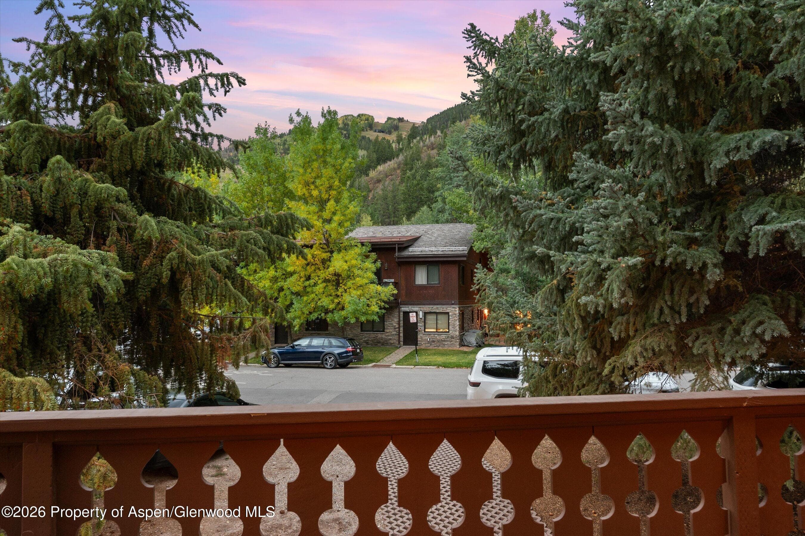 312 W Hyman Avenue, Aspen, CO 81611 - Photo 43