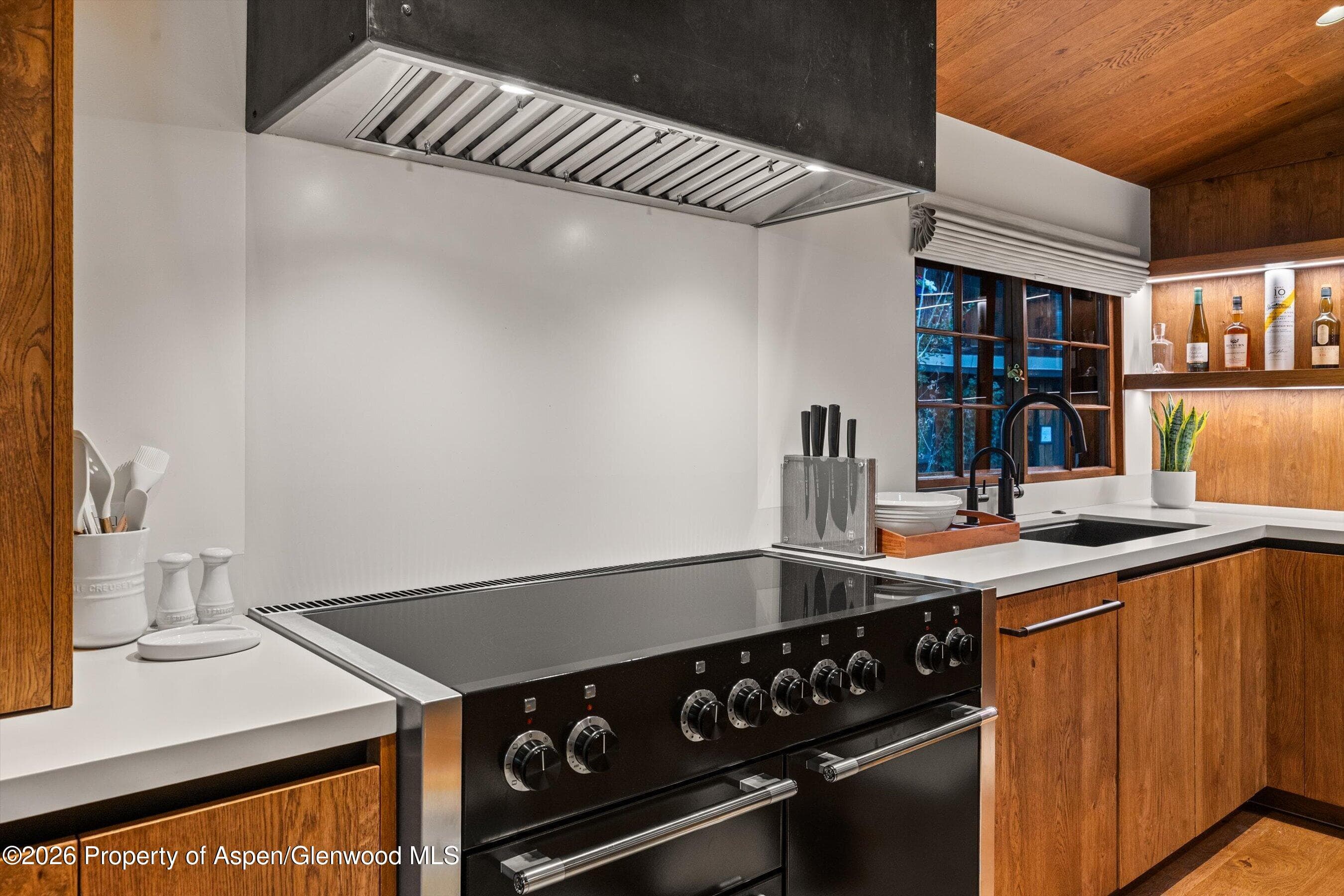 312 W Hyman Avenue, Aspen, CO 81611 - Photo 8