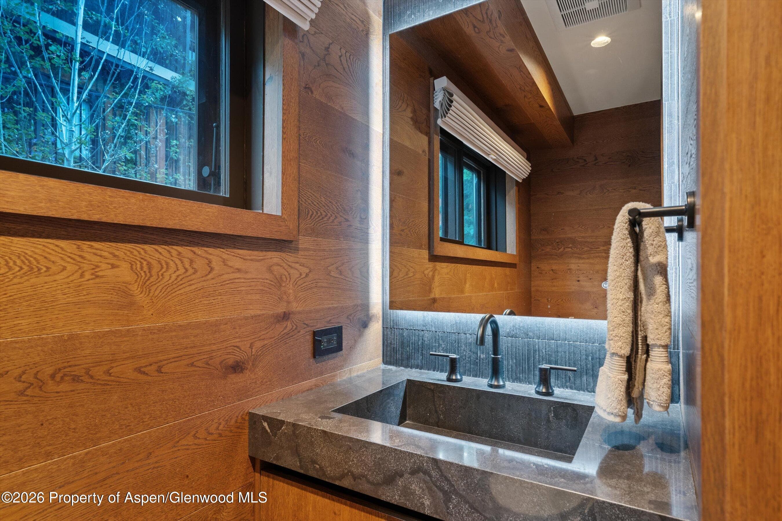 312 W Hyman Avenue, Aspen, CO 81611 - Photo 22