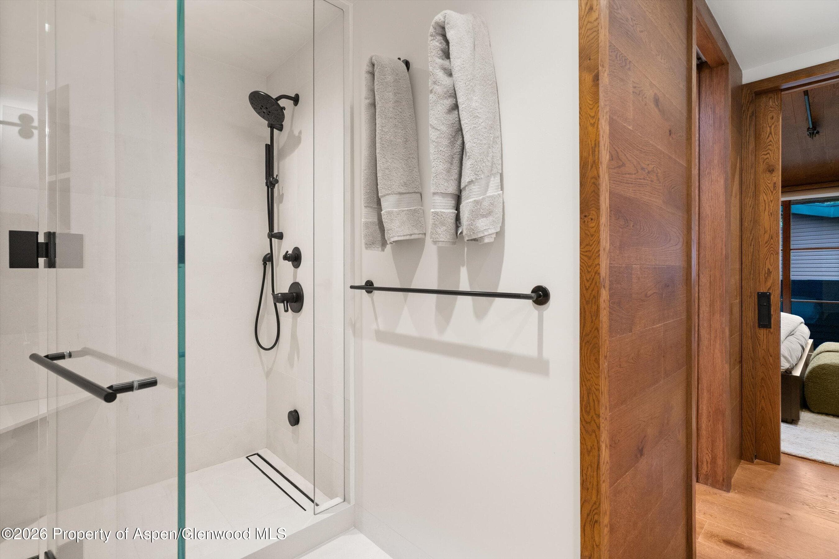312 W Hyman Avenue, Aspen, CO 81611 - Photo 29