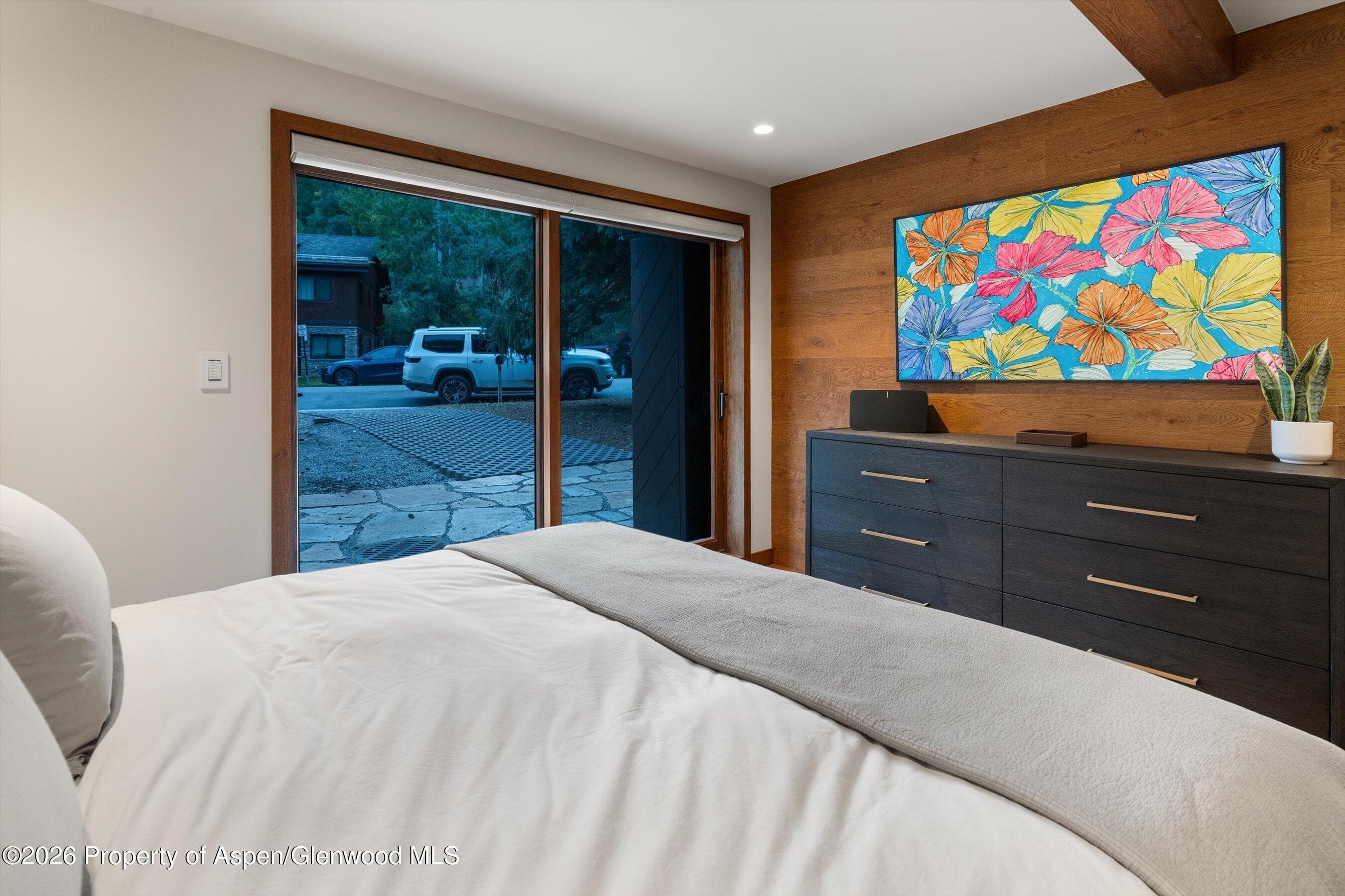 312 W Hyman Avenue, Aspen, CO 81611 - Photo 35