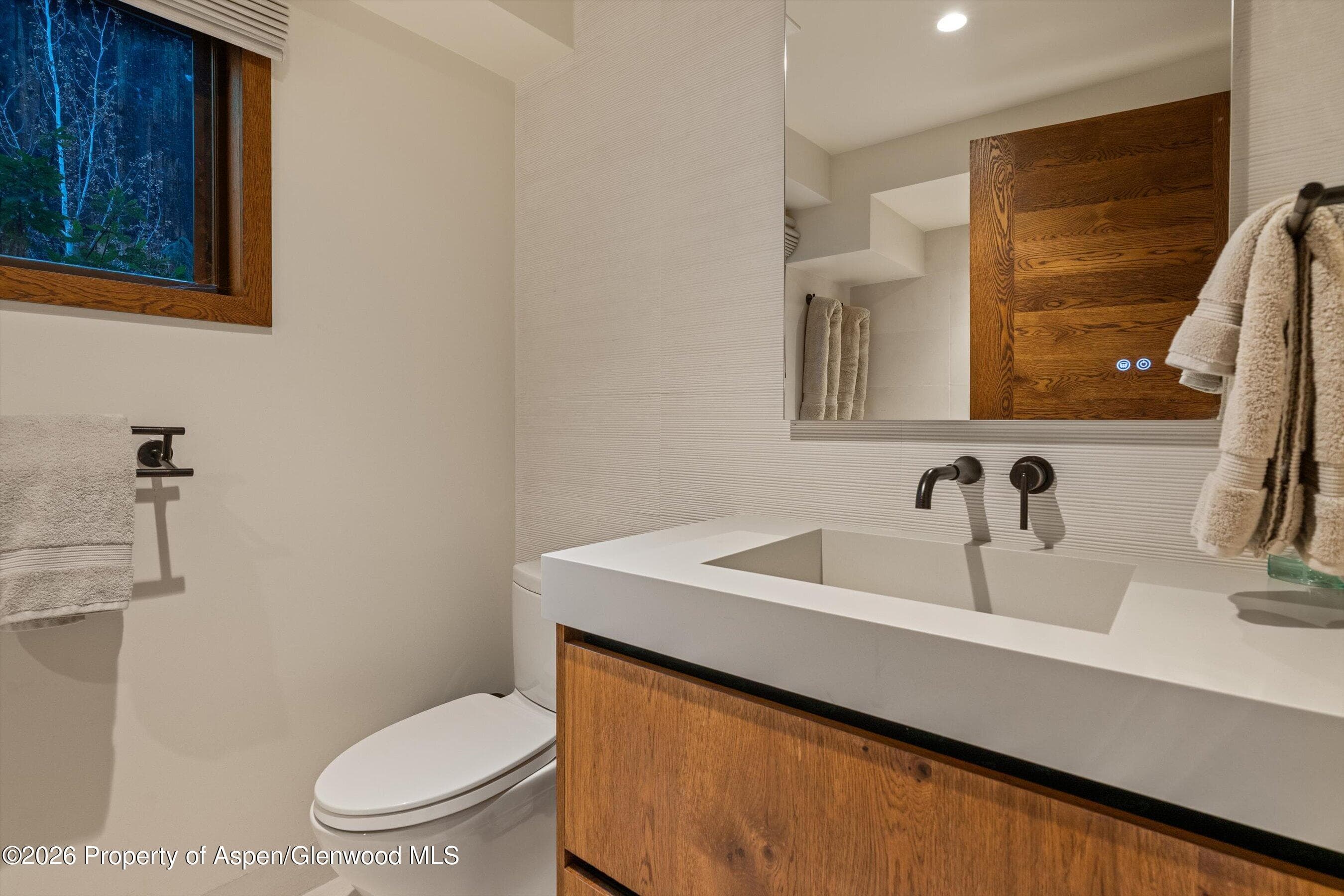312 W Hyman Avenue, Aspen, CO 81611 - Photo 38