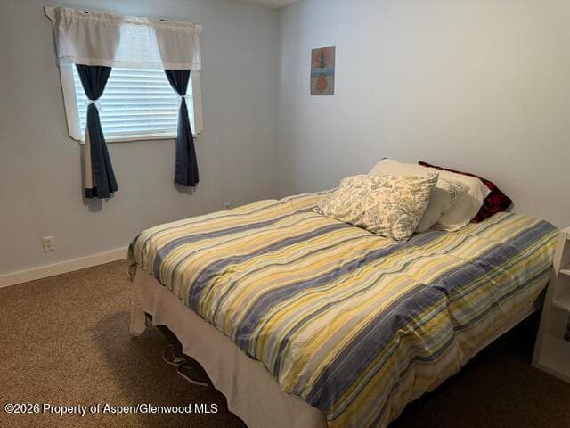 250 County Road 127 #16, Glenwood Springs, CO 81601 - Photo 7