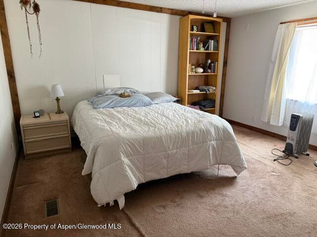 250 County Road 127 #16, Glenwood Springs, CO 81601 - Photo 6
