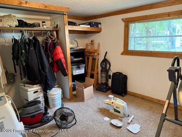 250 County Road 127 #16, Glenwood Springs, CO 81601 - Photo 8