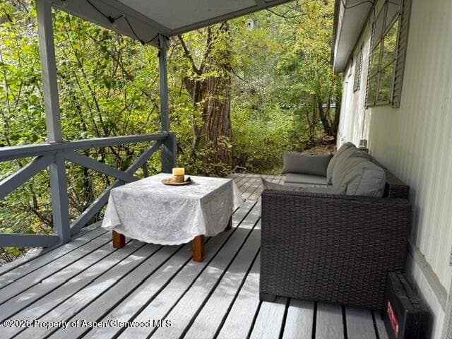 250 County Road 127 #16, Glenwood Springs, CO 81601 - Photo 11