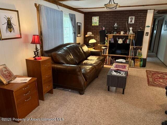 250 County Road 127 #16, Glenwood Springs, CO 81601 - Photo 4