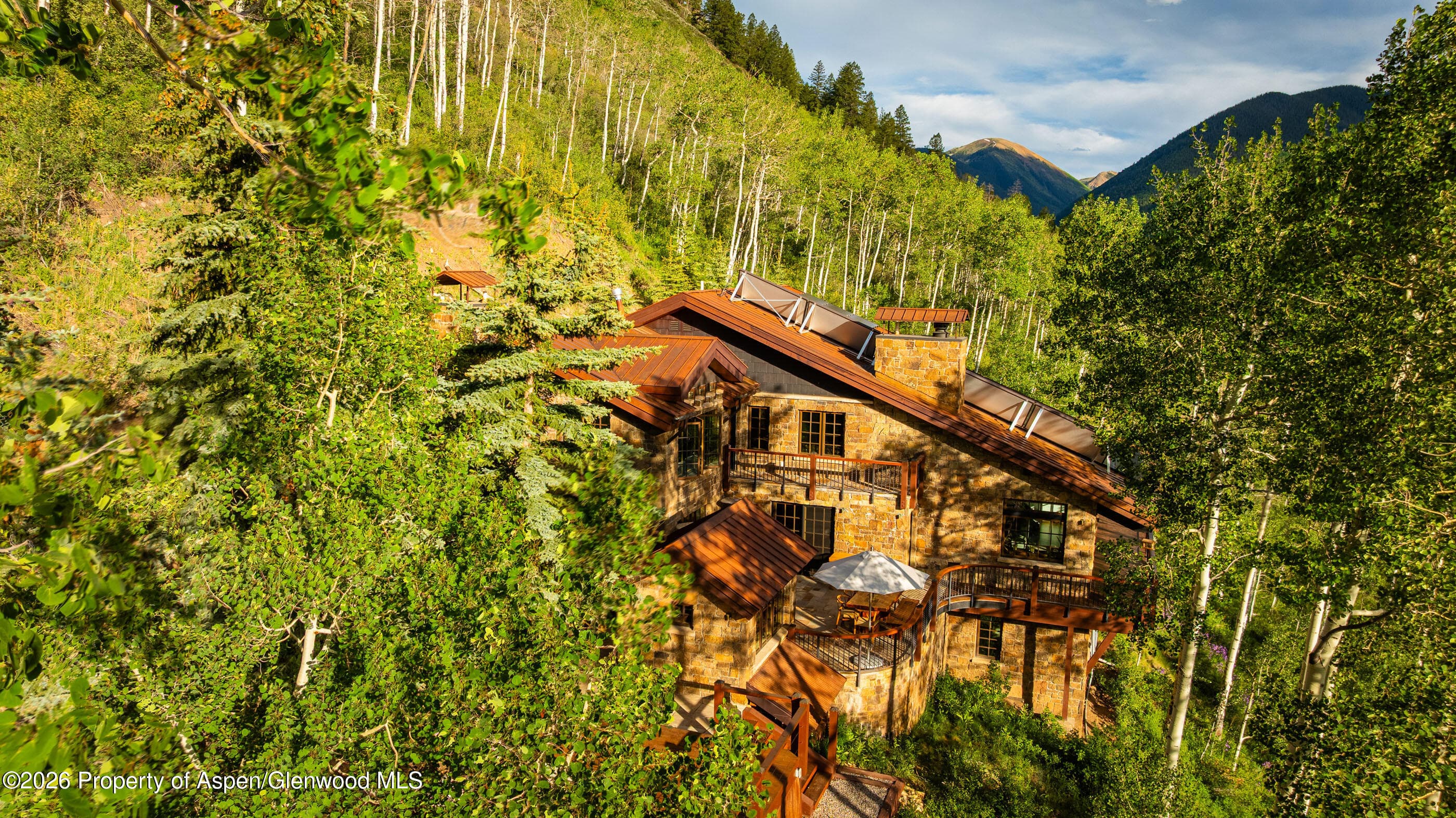 6770 Castle Creek Road, Aspen, CO 81611 - Photo 44